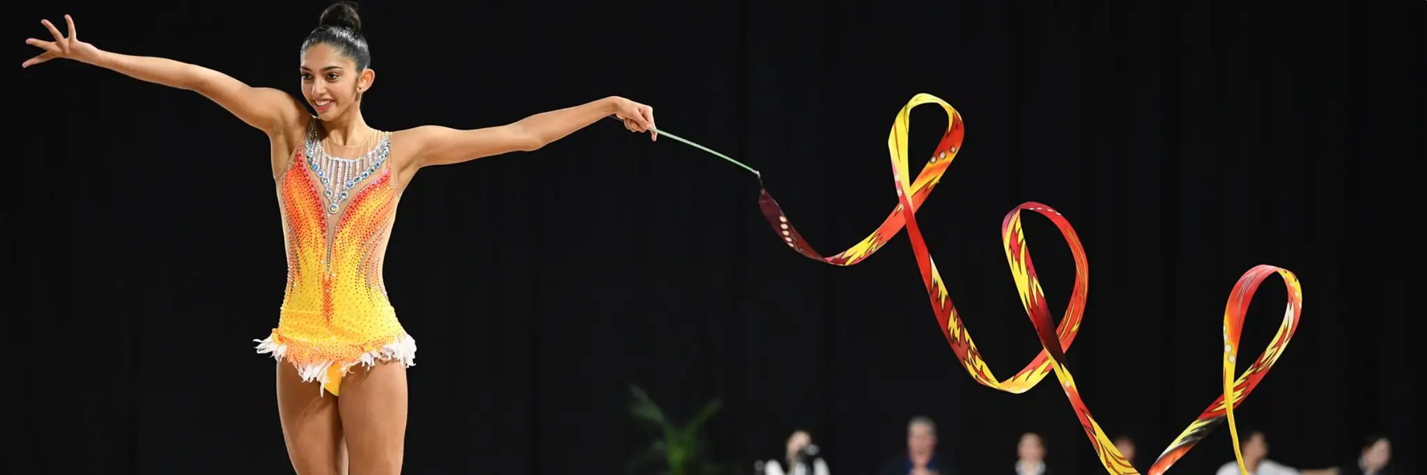 Gymnastics Australia 