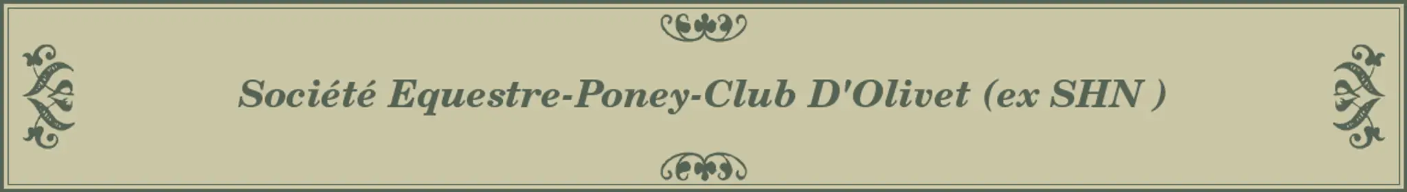 SOCIETE EQUESTRE D OLIVET