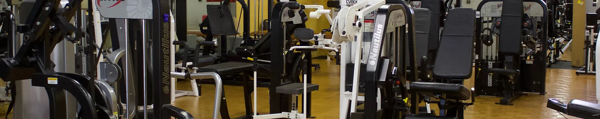 Strata Internal Performance - Muscle System Care & Personal Training