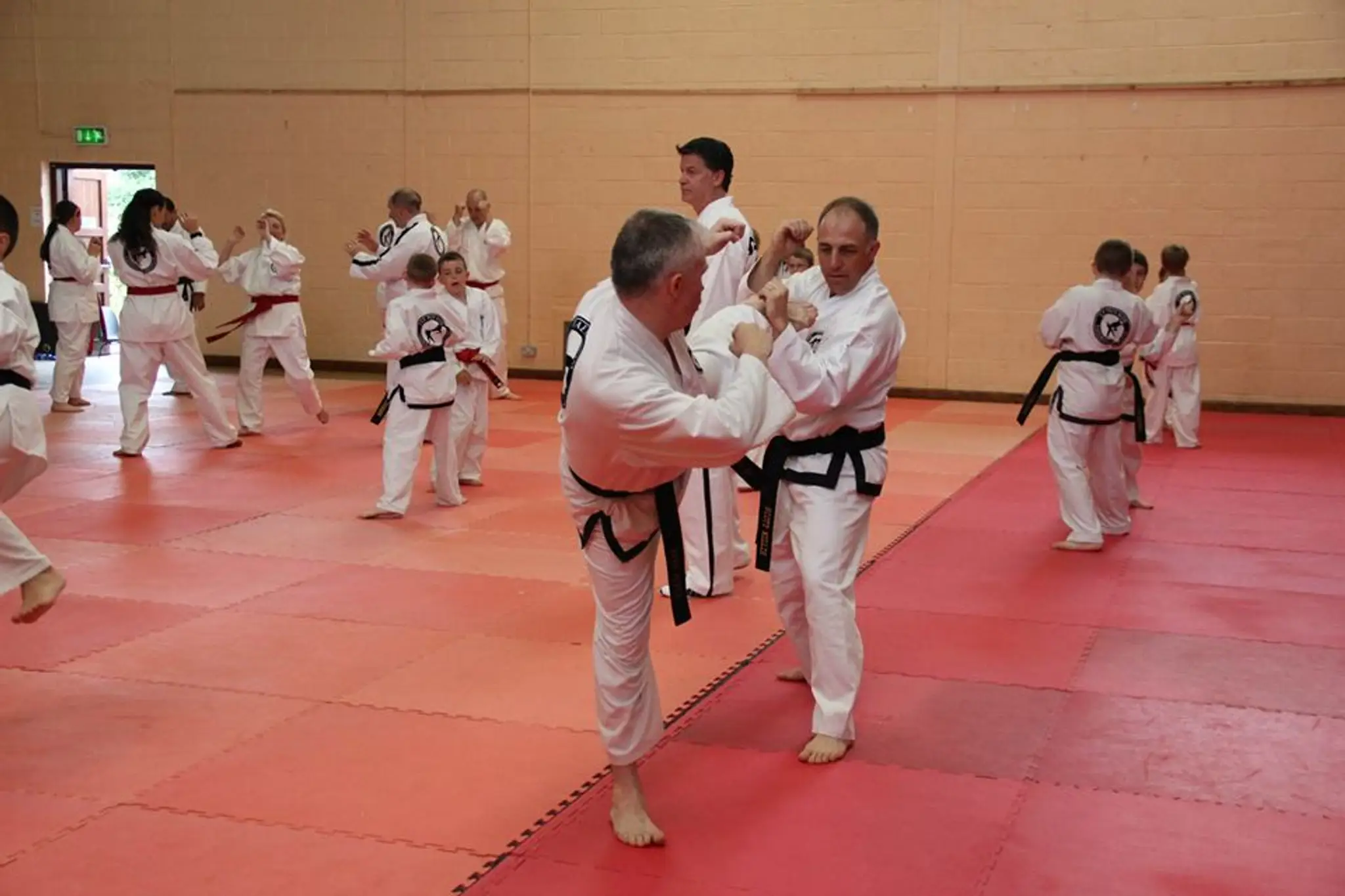 J.H. Kim Taekwon-do Institute