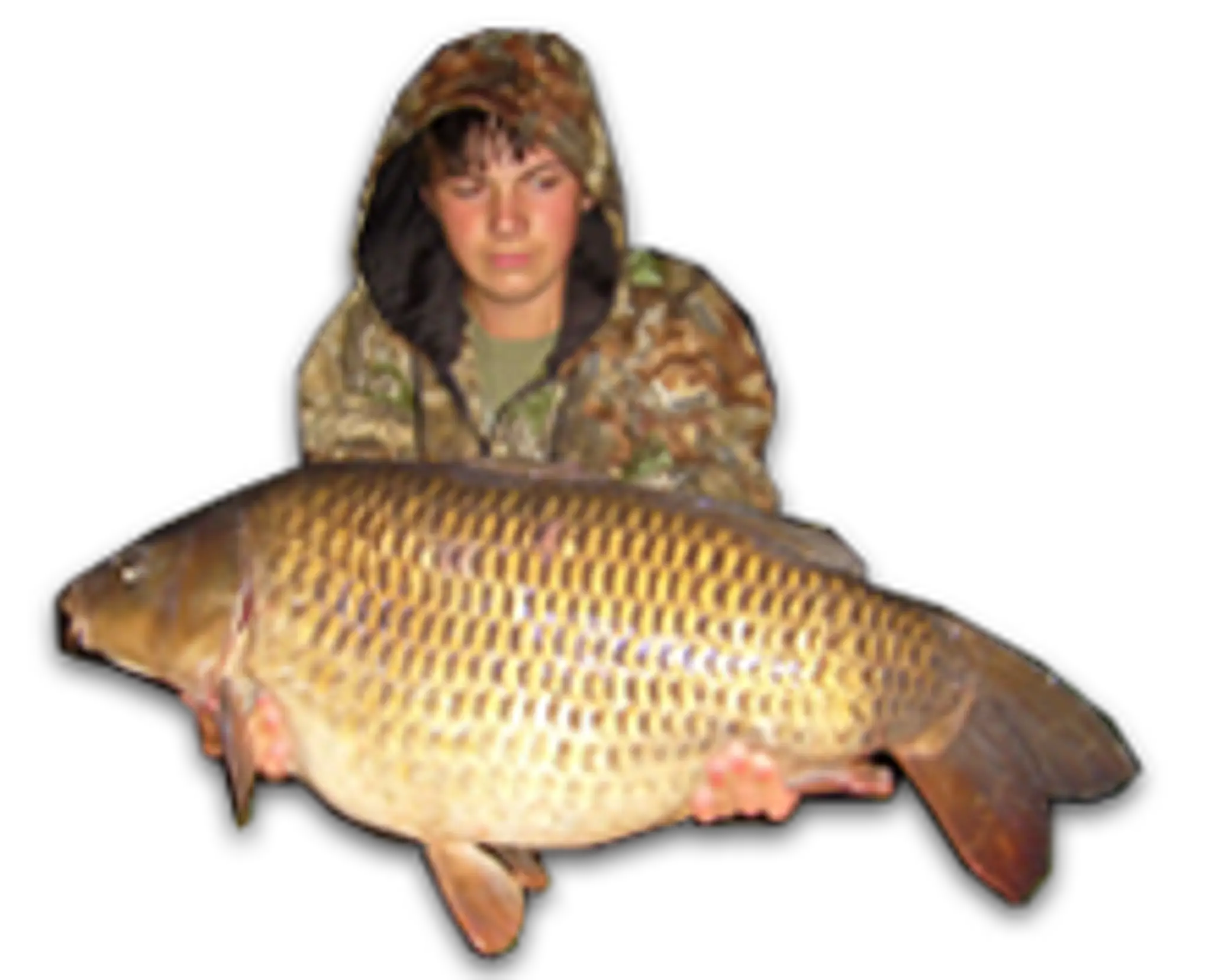 Highbridge Fisheries