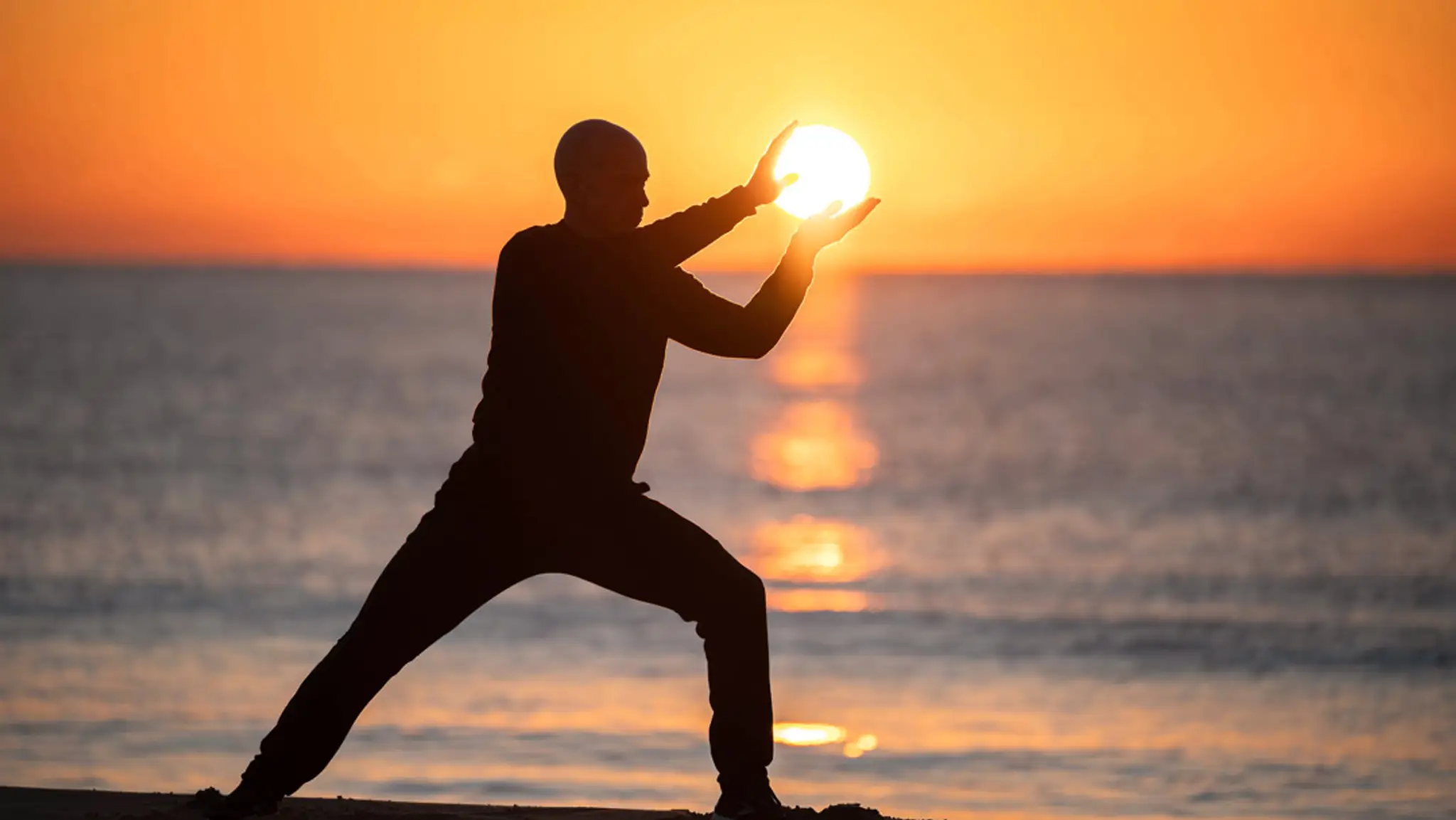 =Natural Elements School of Tai Chi, Kung fu & Qi Gong