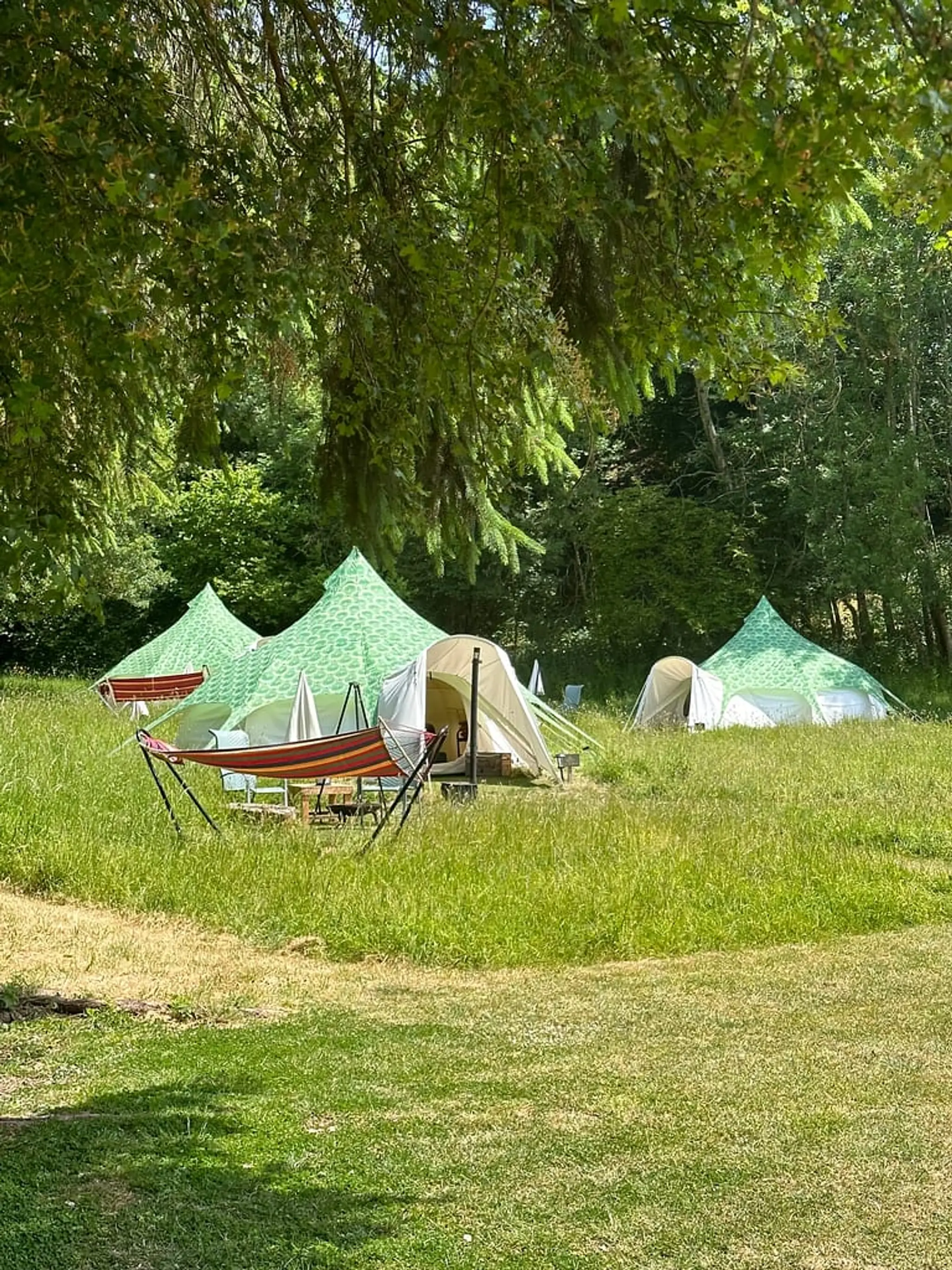 Owley Woods Glamping
