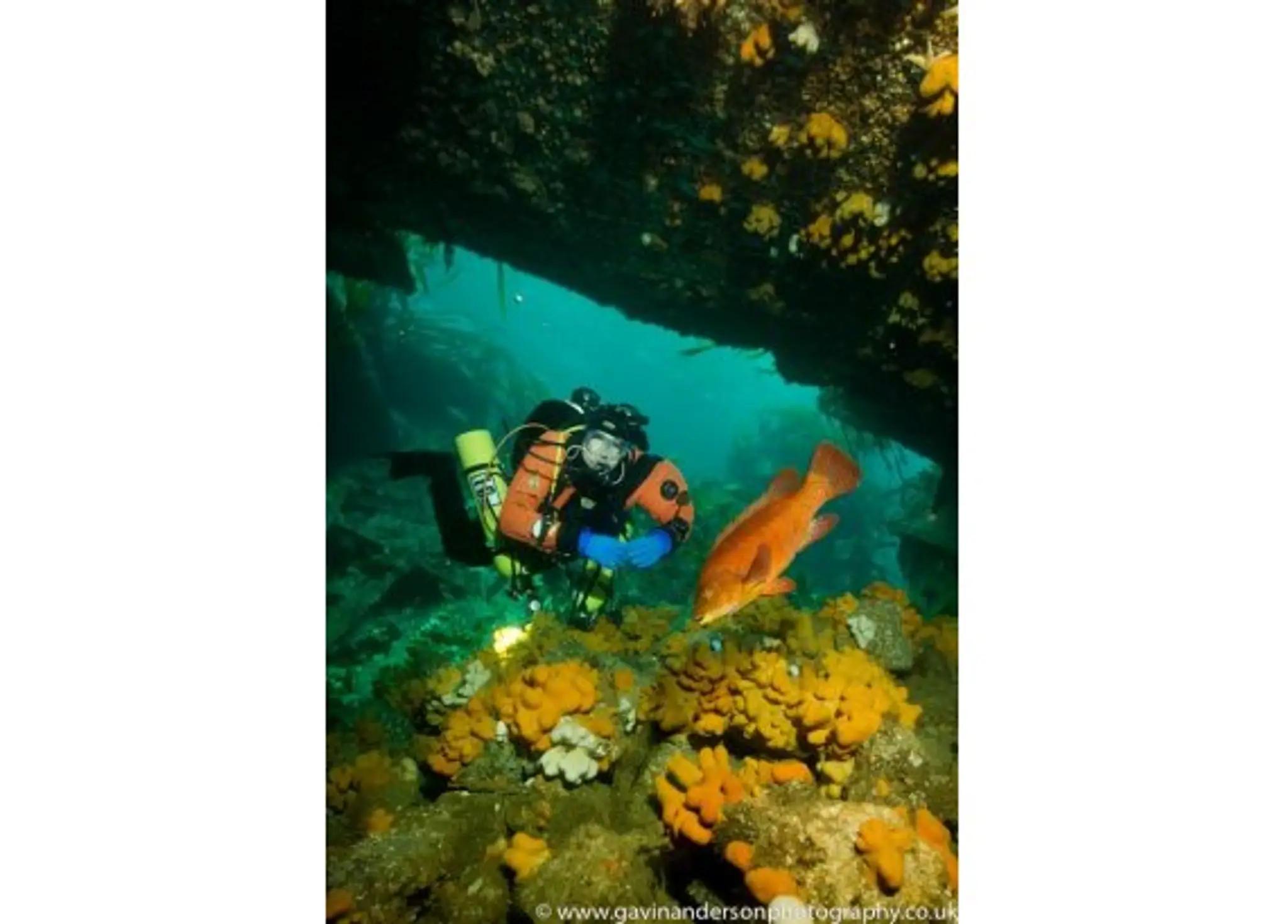 M.V. Invincible Scapa Flow Scuba Diving Holidays