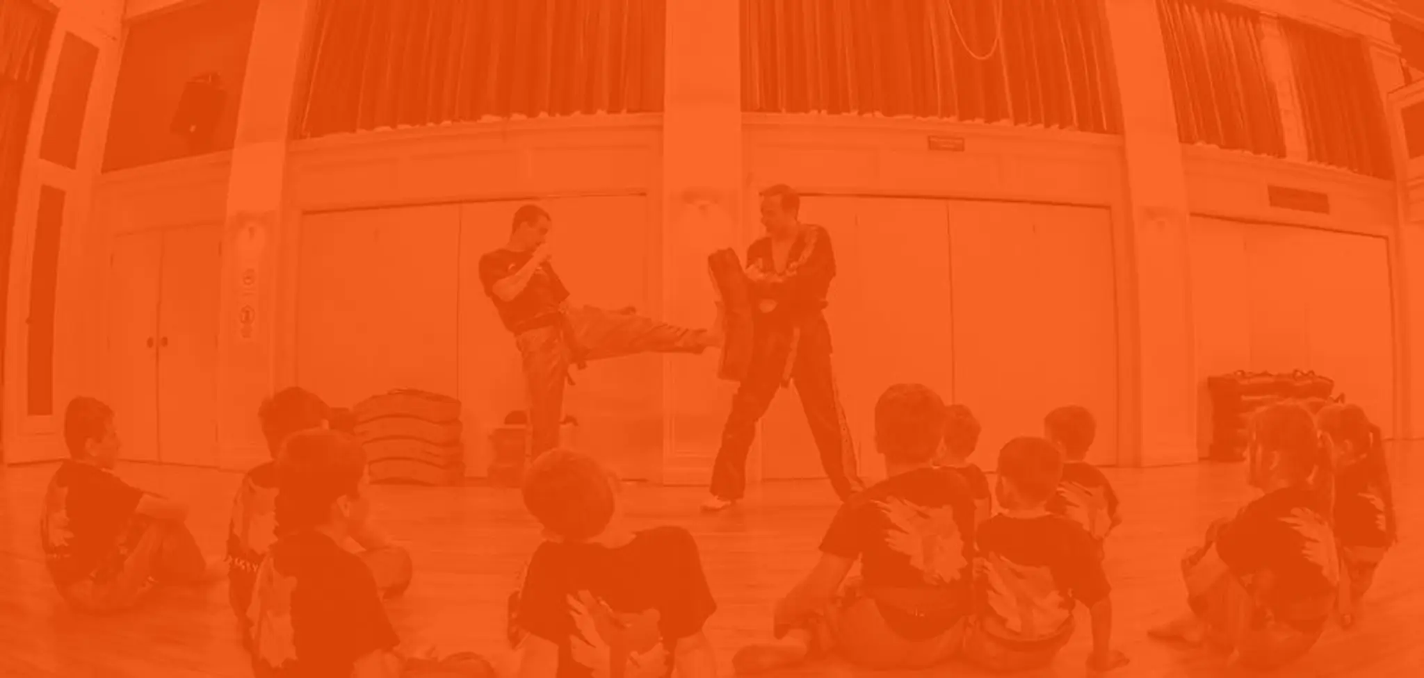 Freestyle Martial Arts