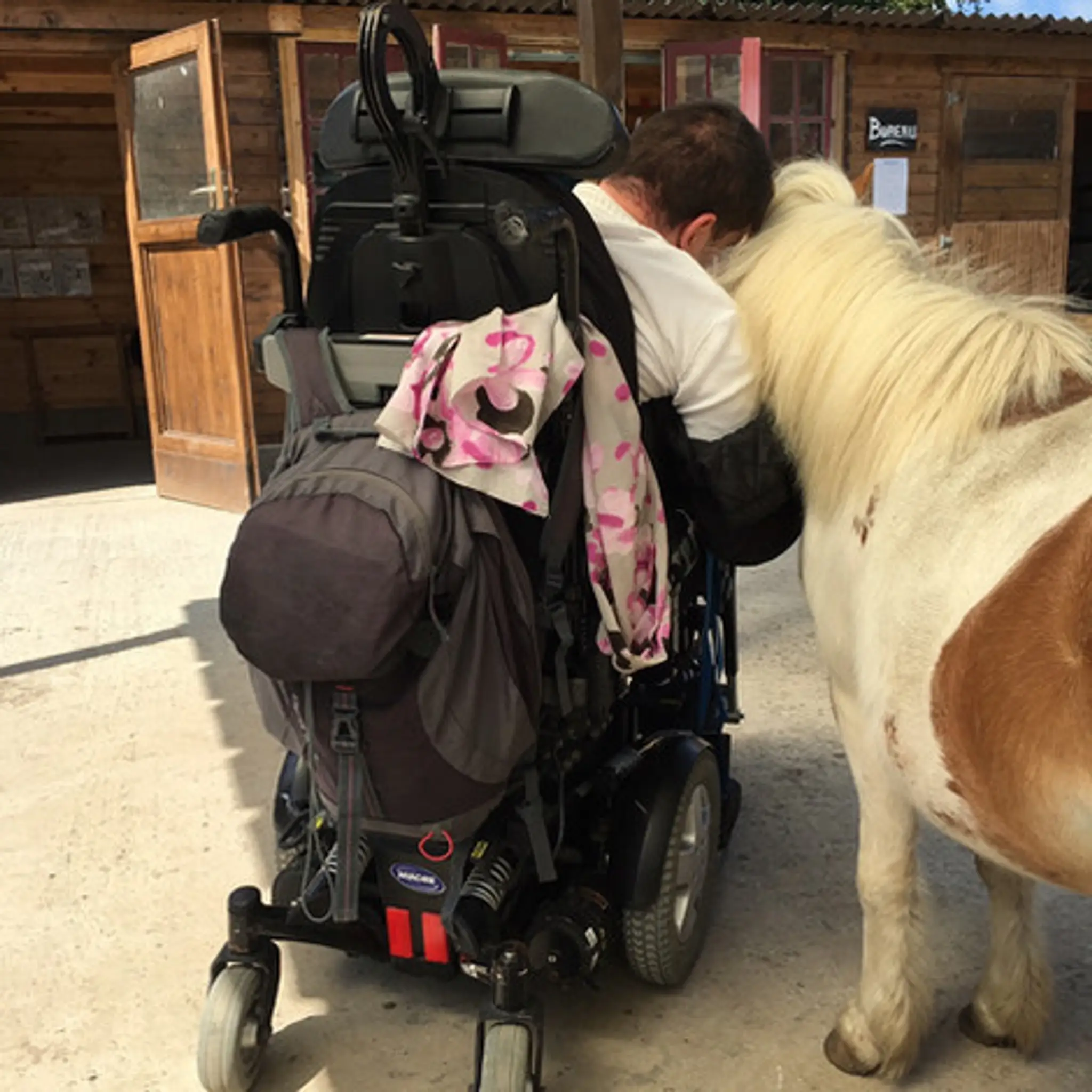 Bérénice - Equithérapie & Equitation Adaptée Normandie (50)
