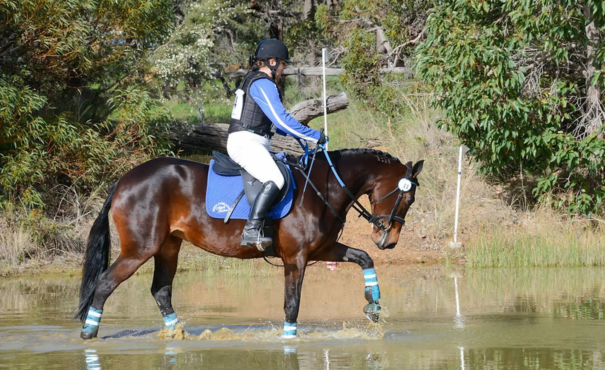 Wallangarra Adult Riders Club