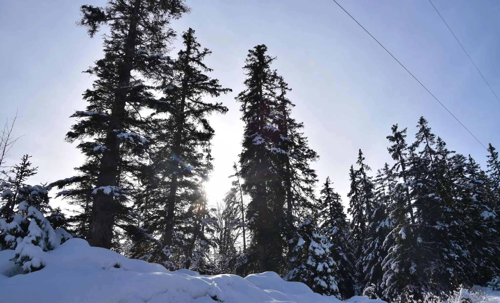 Esf Aillons-Margériaz 1400 French Ski School