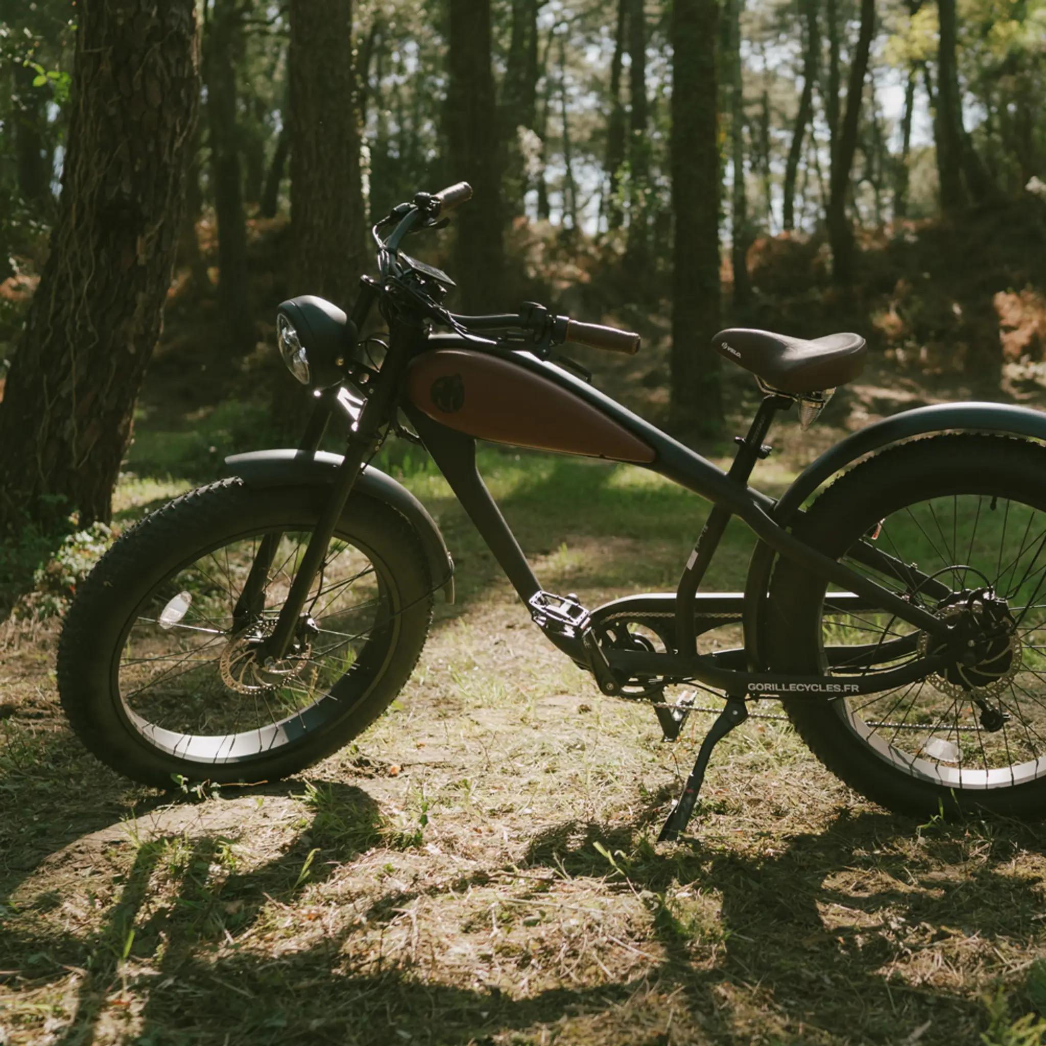 Bicicletta | Location vélo Anglet