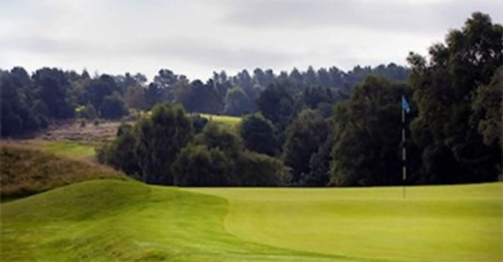 Beau Desert Golf Club