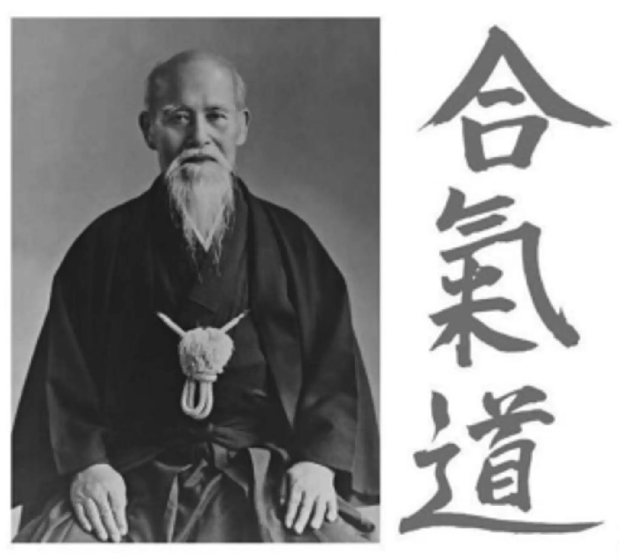 Aikido Dojo Poitiers