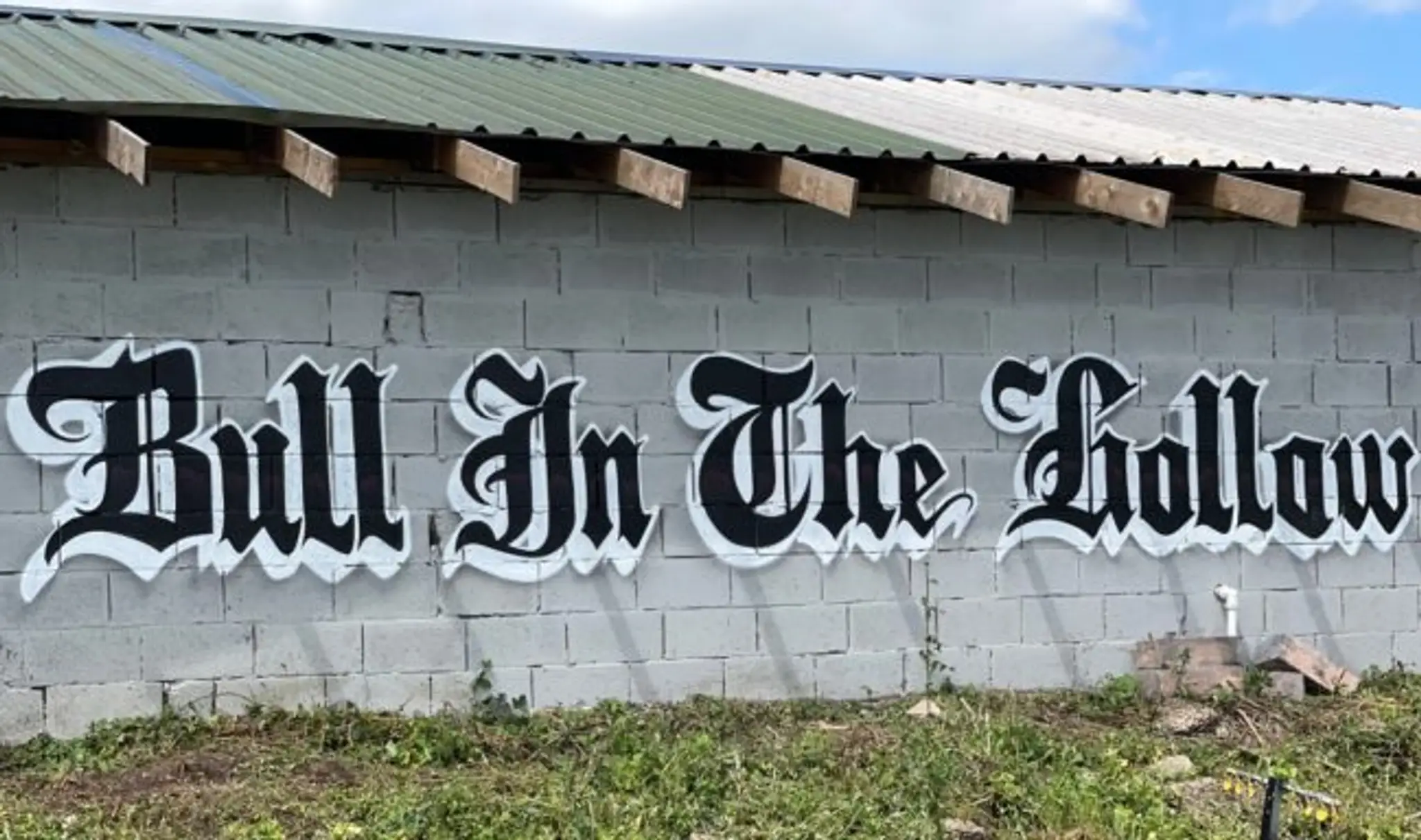 Bull In The Hollow Airgun & Archery Club