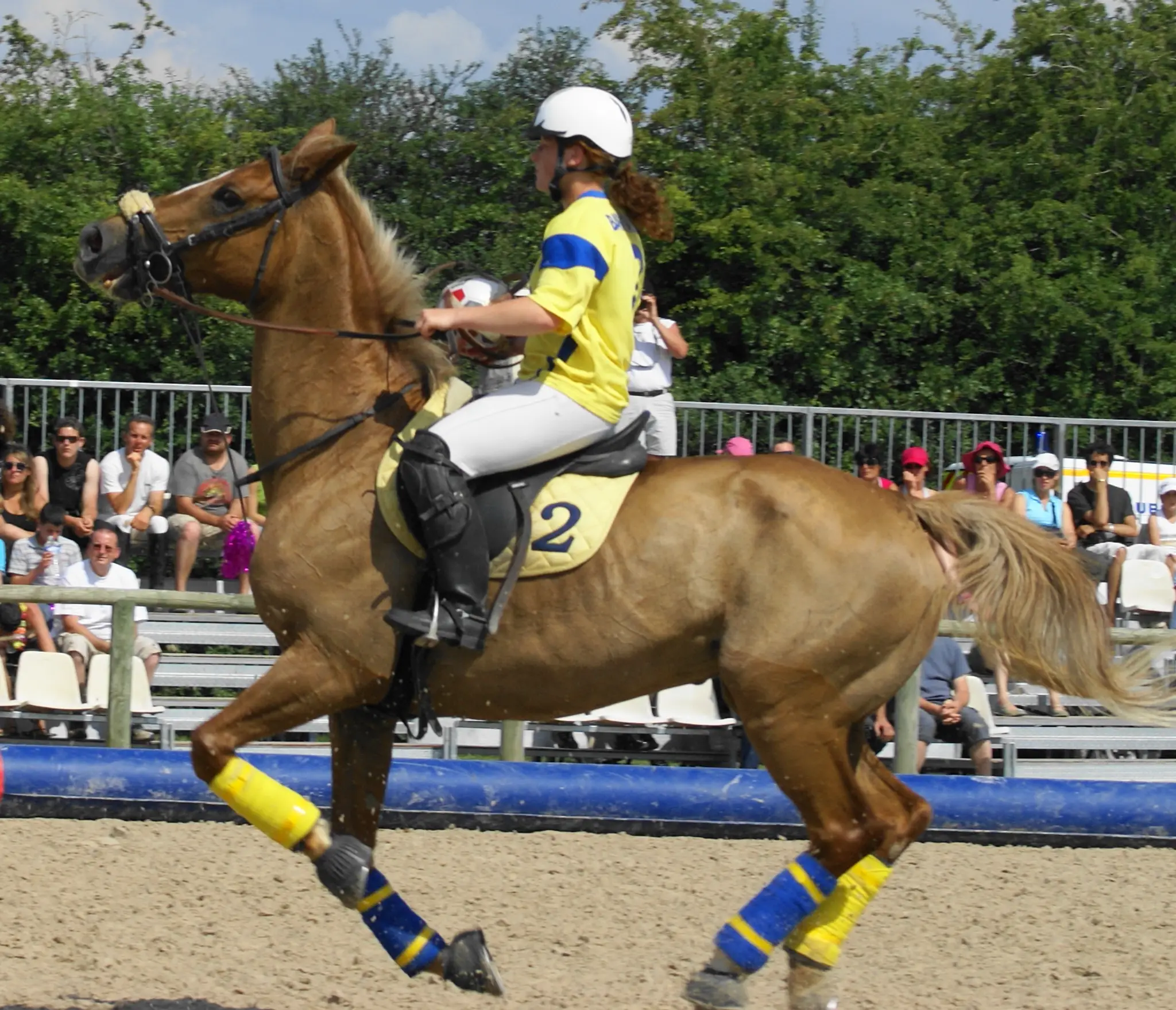 Sarl Club Hippique A Cheval Lypca Nadine