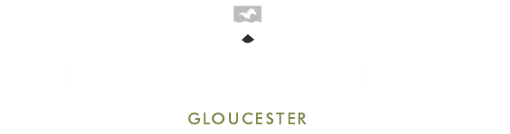 The Cheltenham Chase Leisure Club