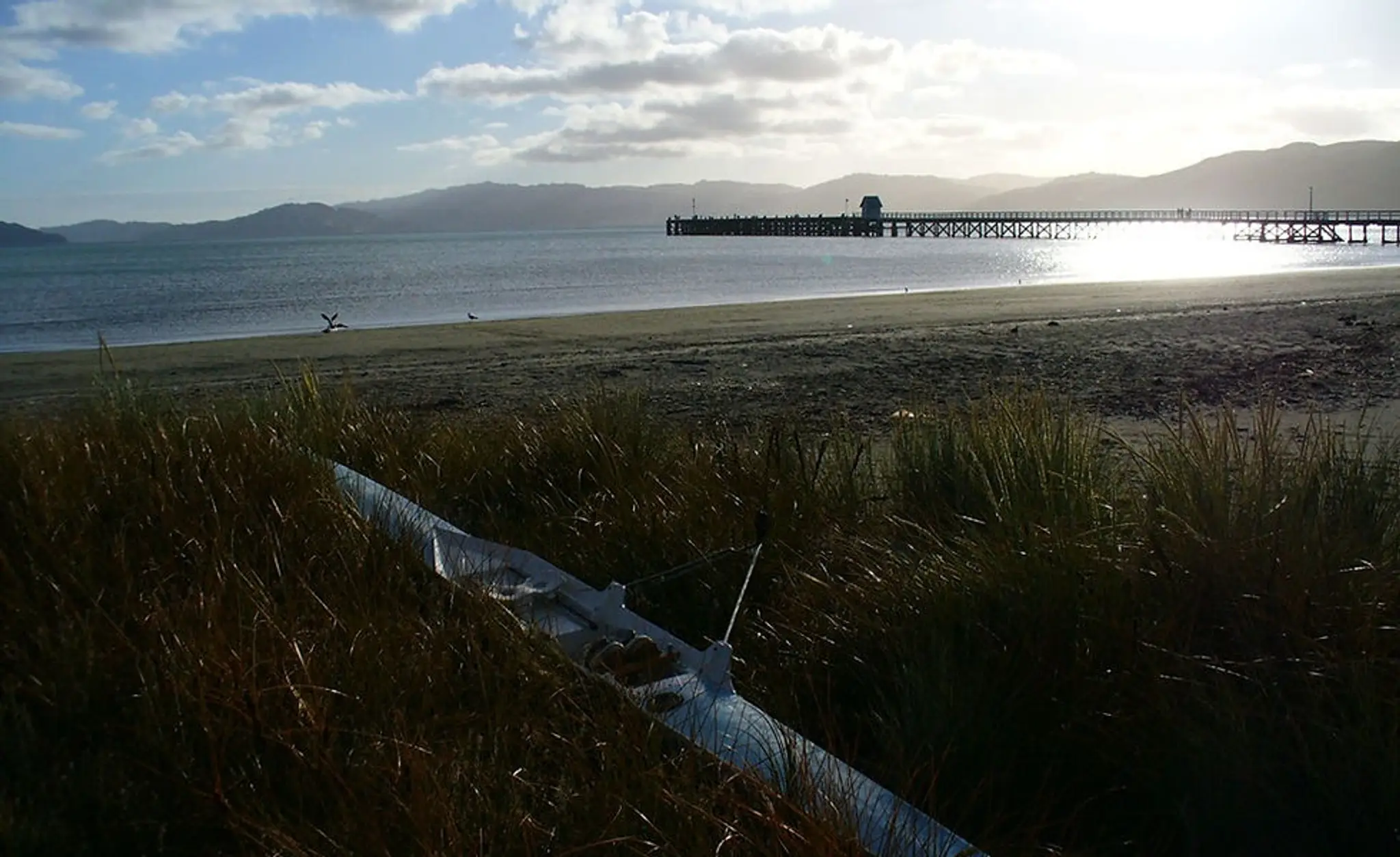 Petone Rowing Club