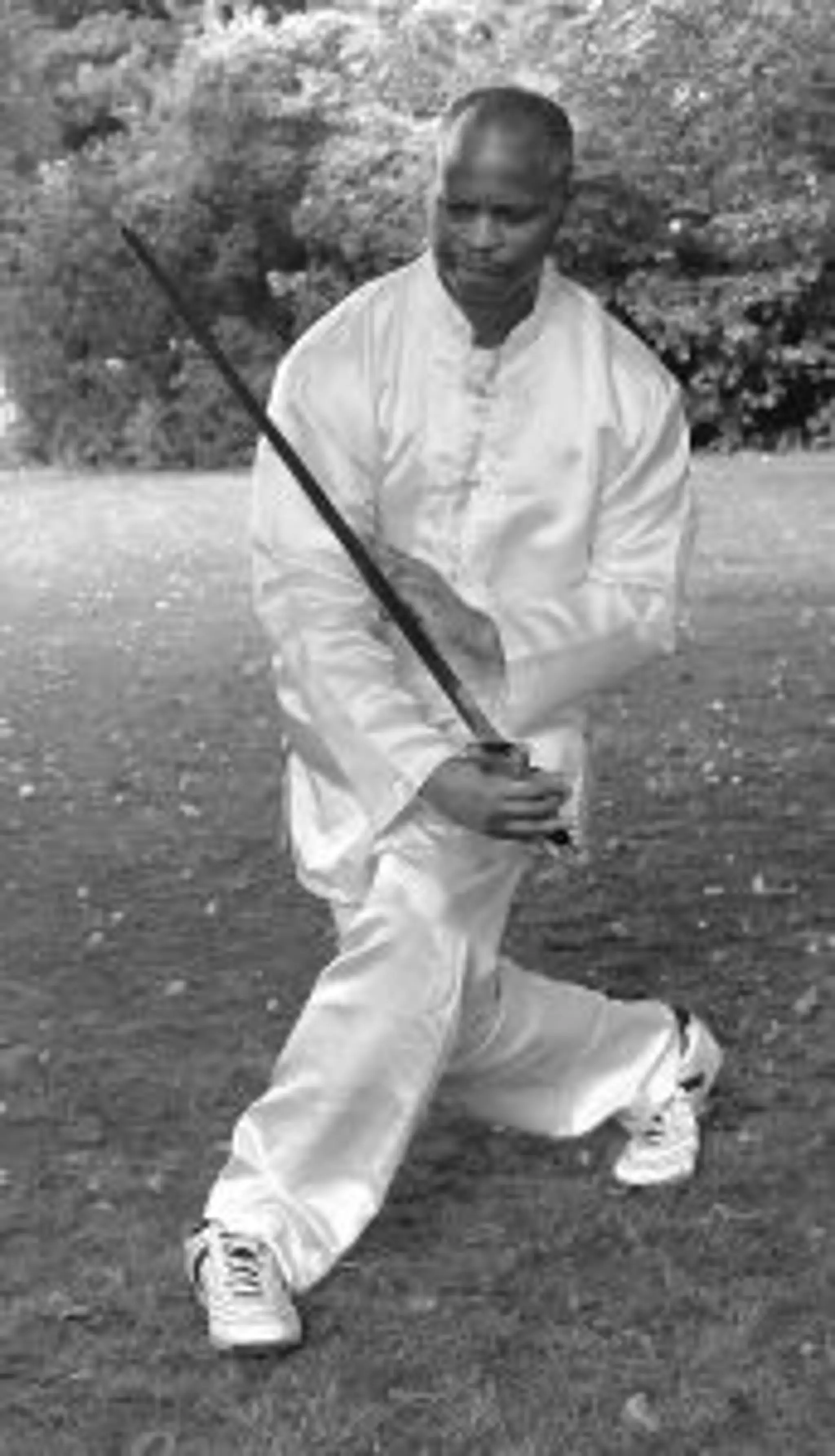 Wudang Tai Chi Chuan