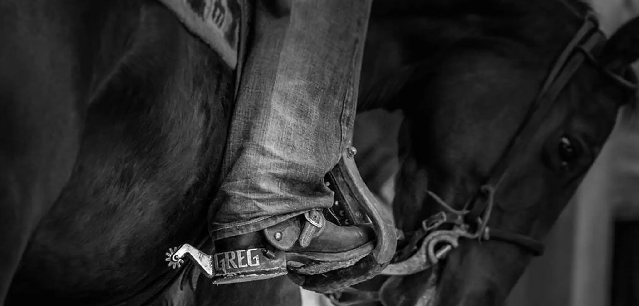 Gb Quarter Horse