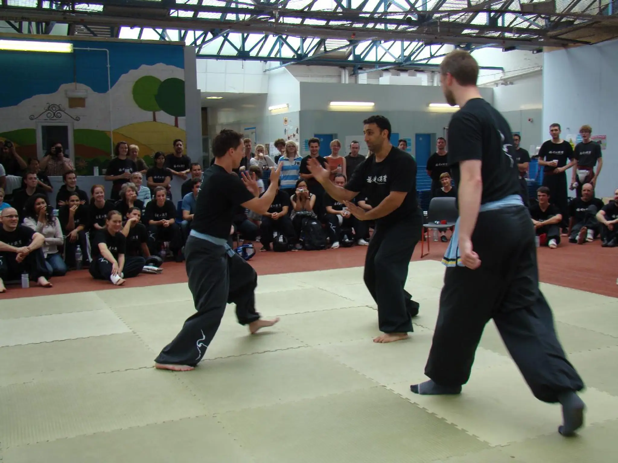 Fujian White Crane Kung Fu and Tai Chi