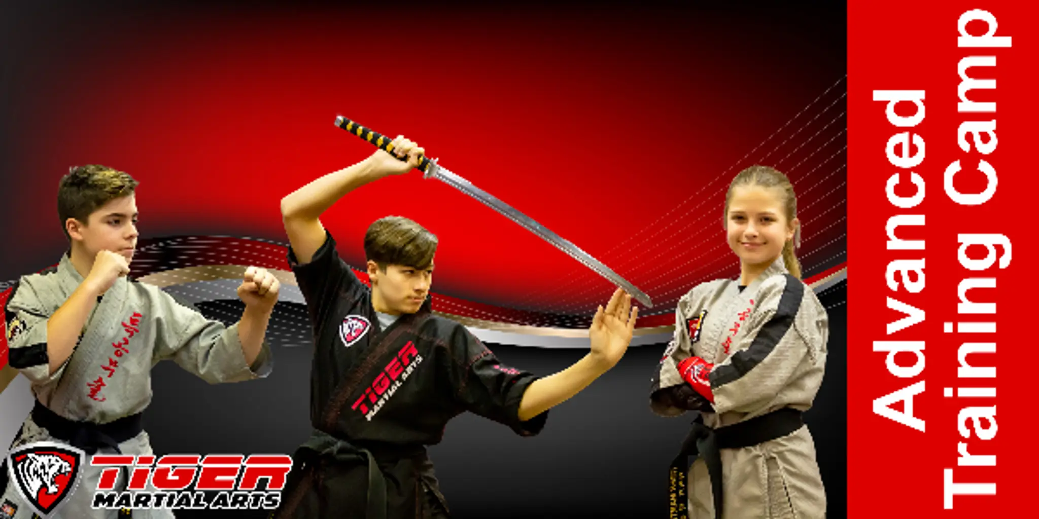 tiger martial arts quesnel