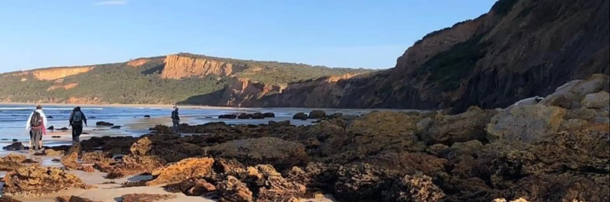 BANG Fitness Coaching