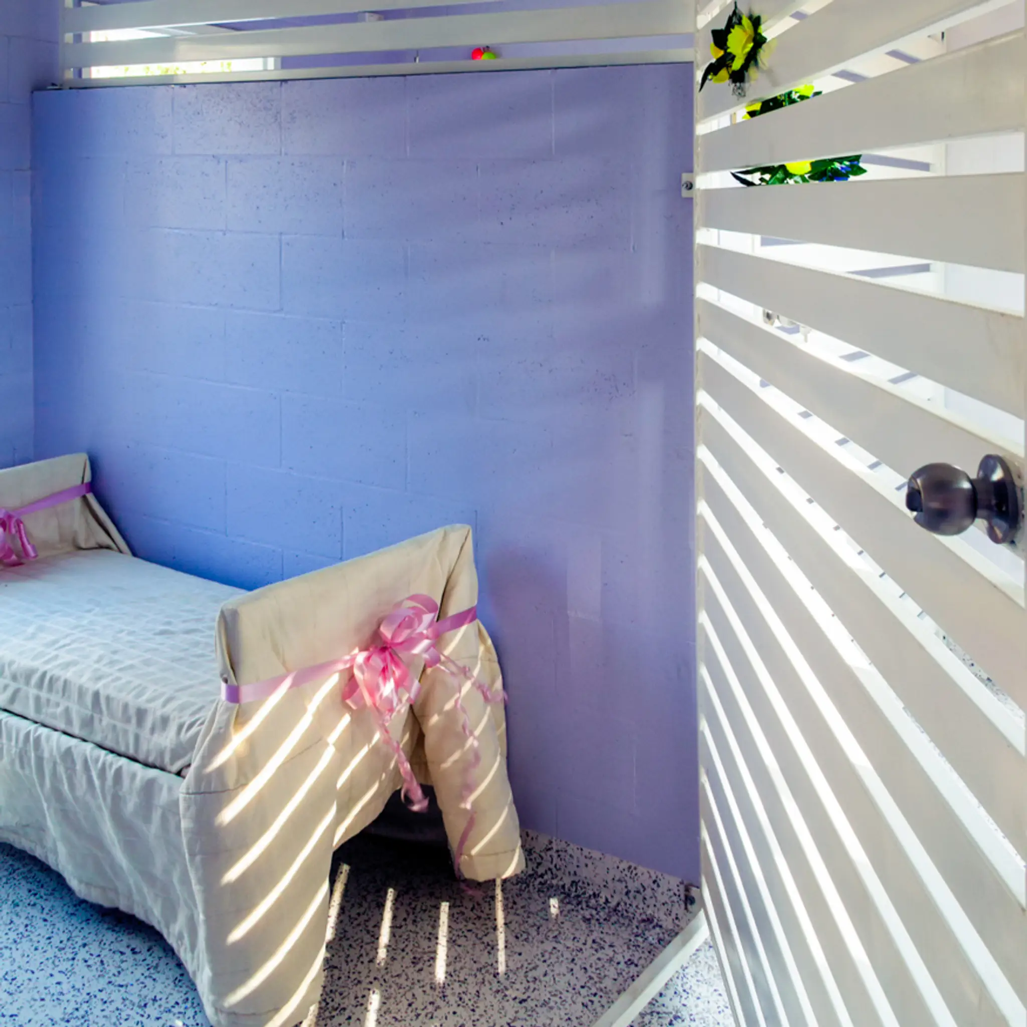 Tamborine Pet Farmstay Dog Hotel, Doggy Day Care , Dog Hydrotherapy and Dog Grooming