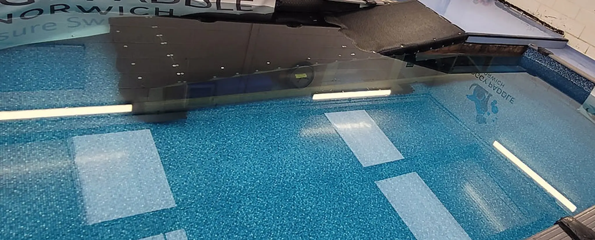 Doggy Paddle Norwich