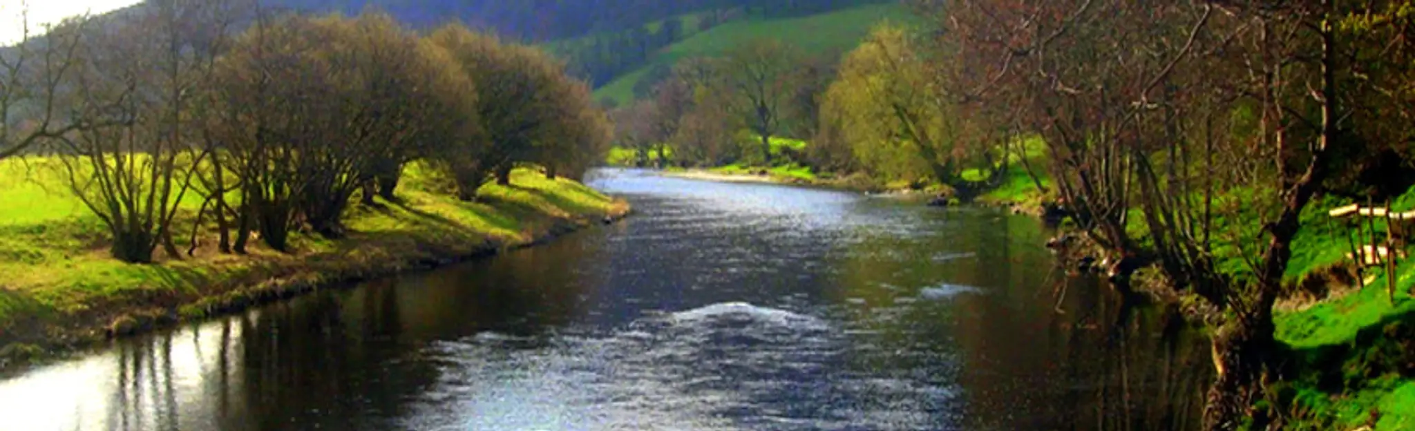 Welsh Dee Partnership Limited