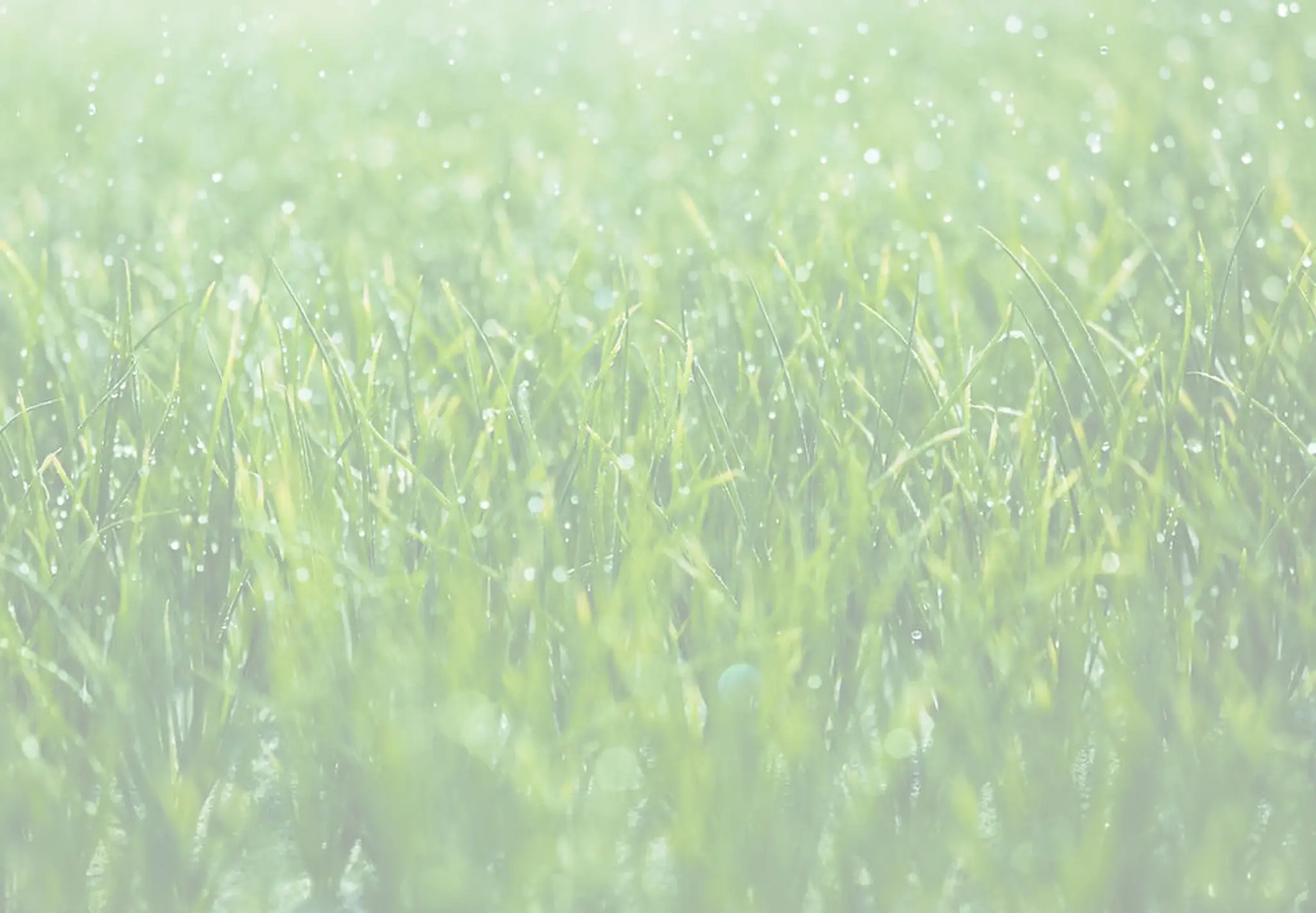 Elm Park & Hornchurch Bowling Club