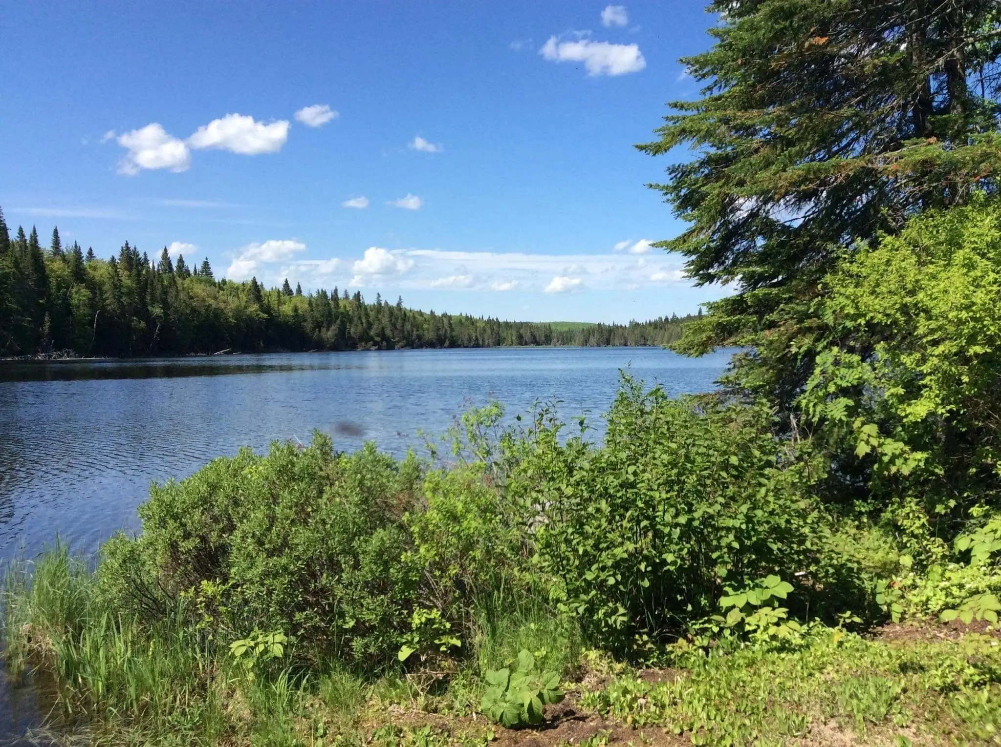 Club De Peche Lac Anais