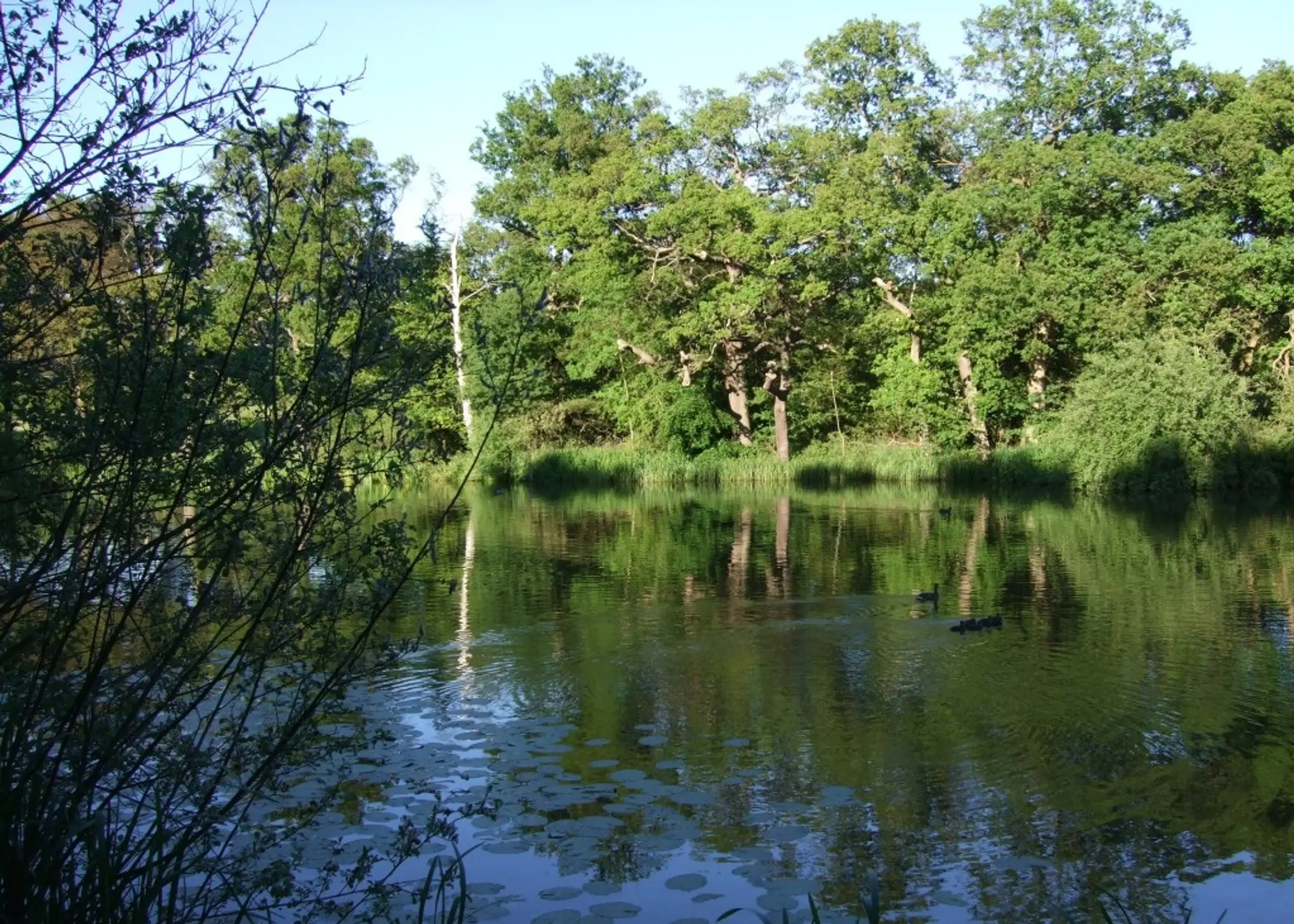 Hadley Angling and Preservation Society (HAPS)