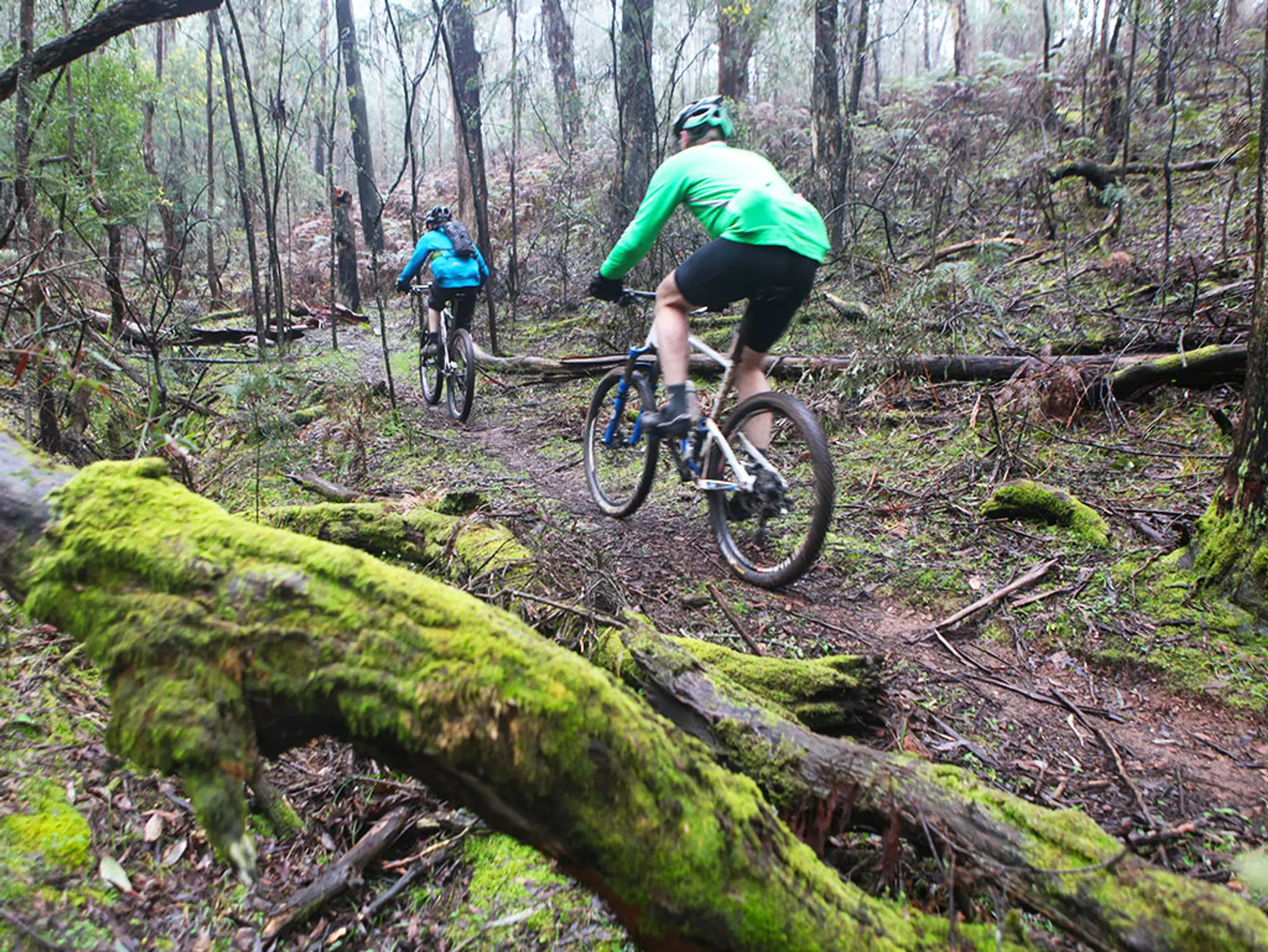 Yack Tracks MTB Trailhead