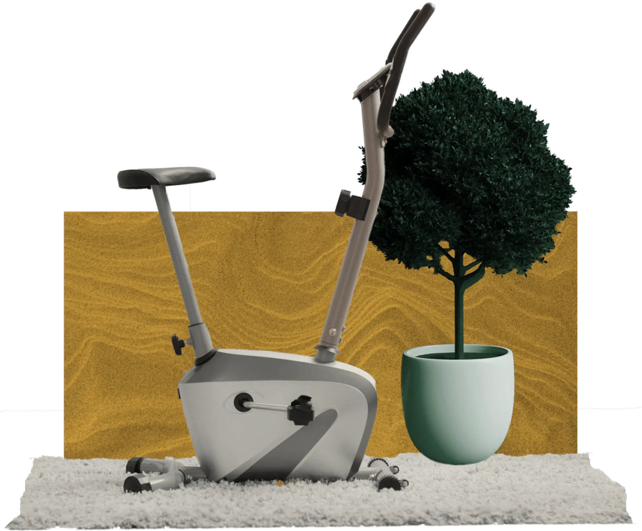 Robin's GYM & Wellness