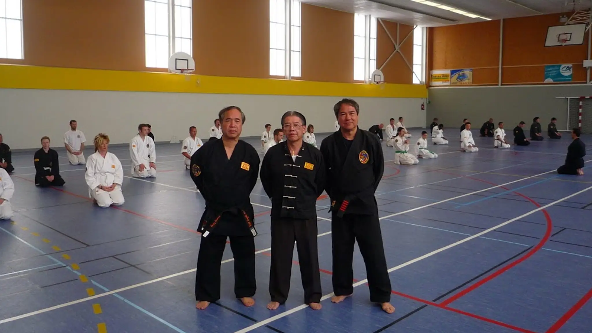 Viet Quyen Thuat Taverny