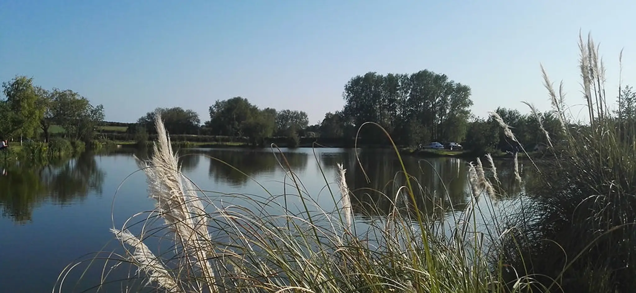 Riverside Fishery Bawtry Yorkshire