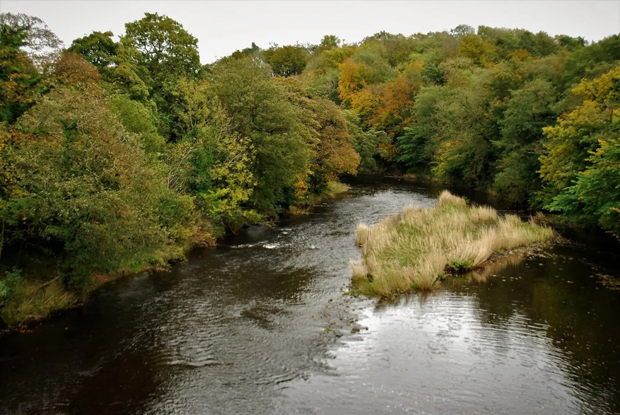 Whitewell Fishing Association