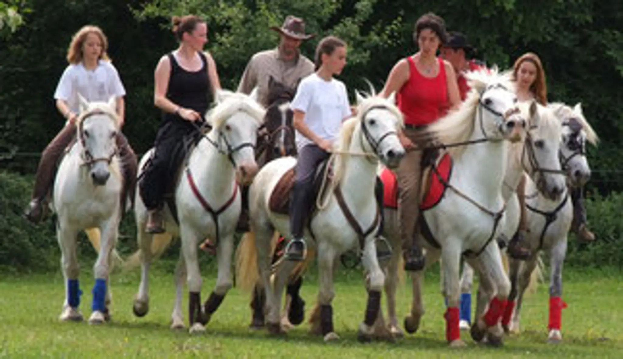 C.E.R.E.S Conduites d'Elevage Raisonnées pour l'Entretien desSites