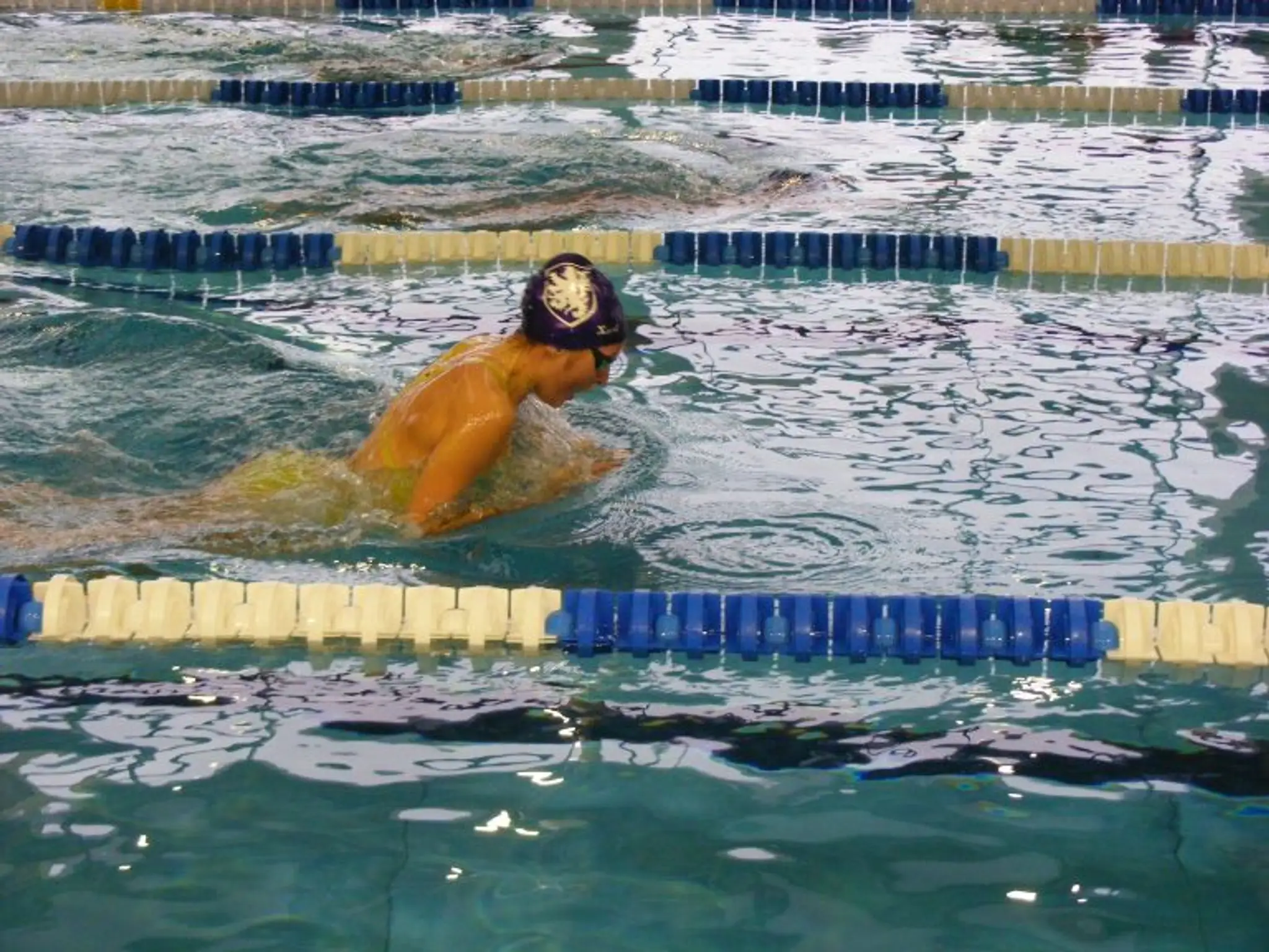 SCS Natation
