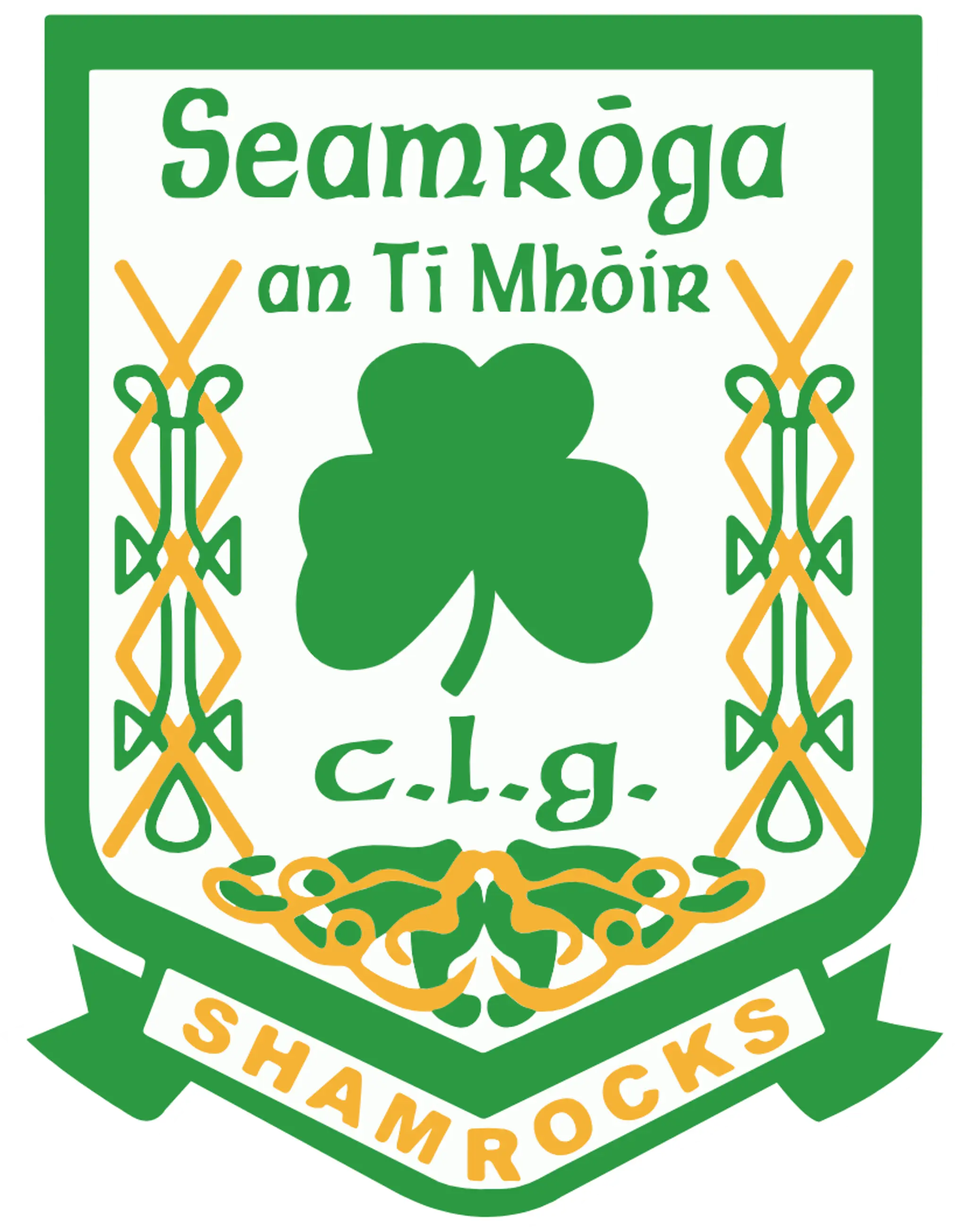 Teemore Shamrocks GAA