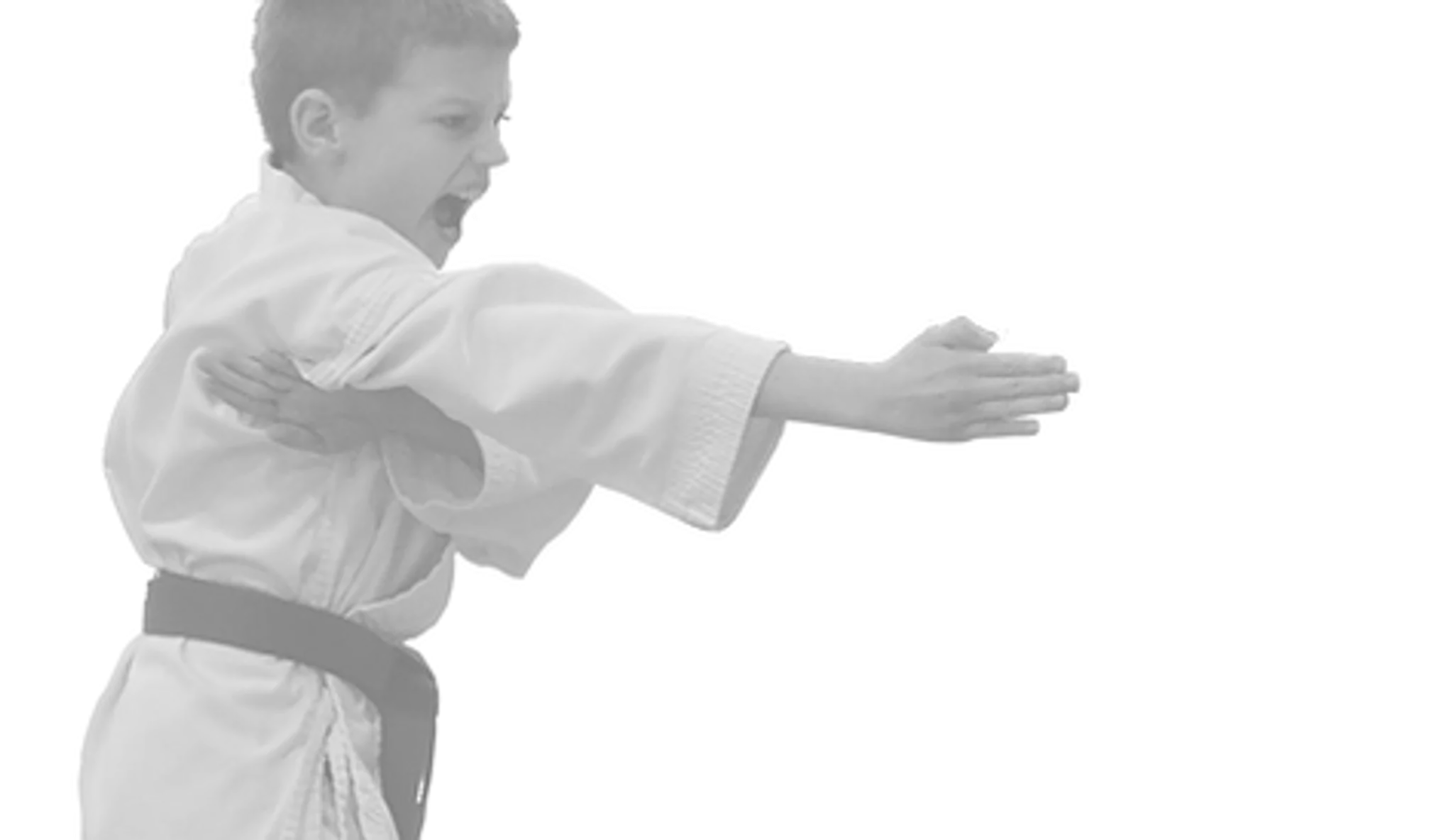 Kaizen Gunns Karate Club