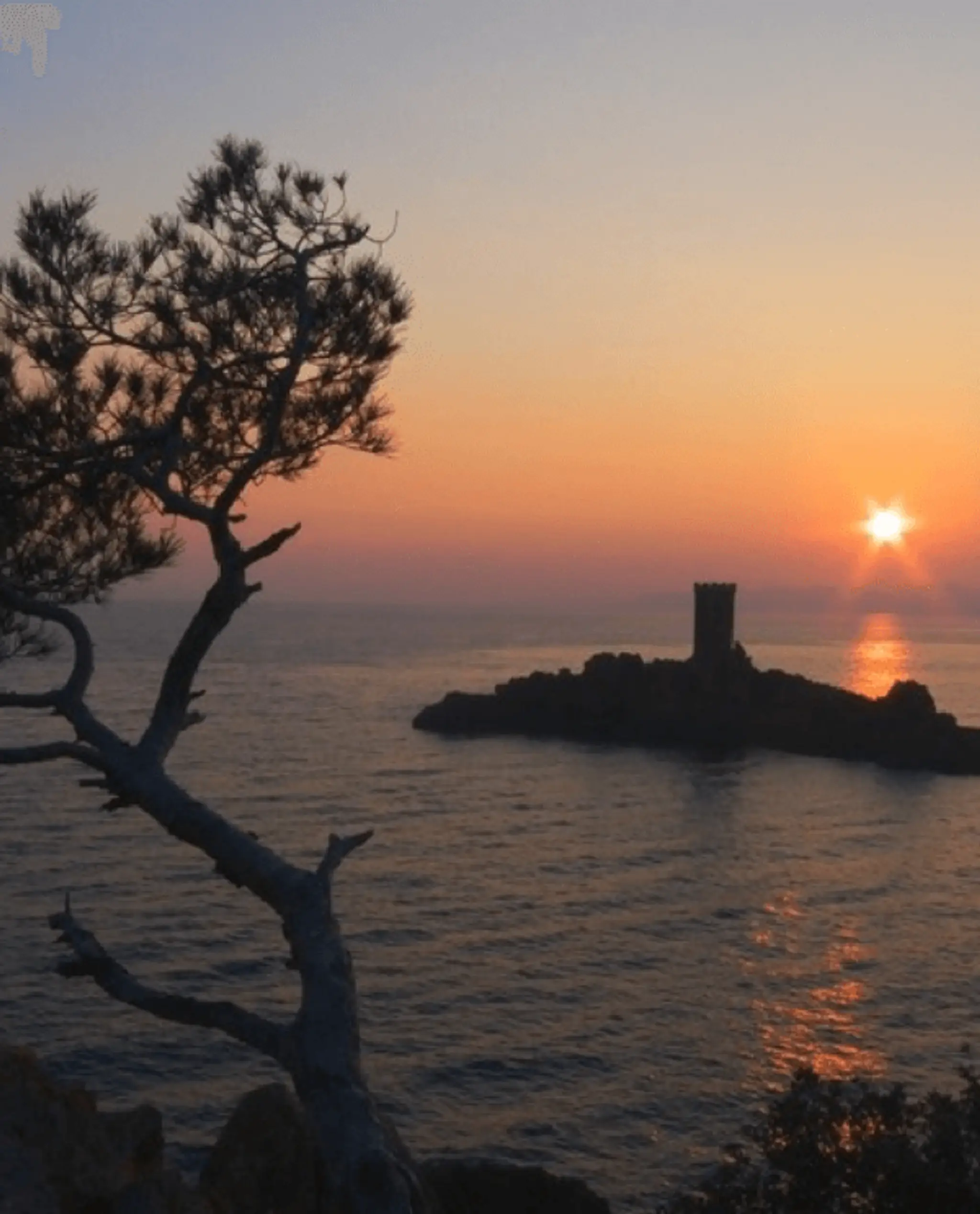 Beach Club Agay - Estérel Aventures