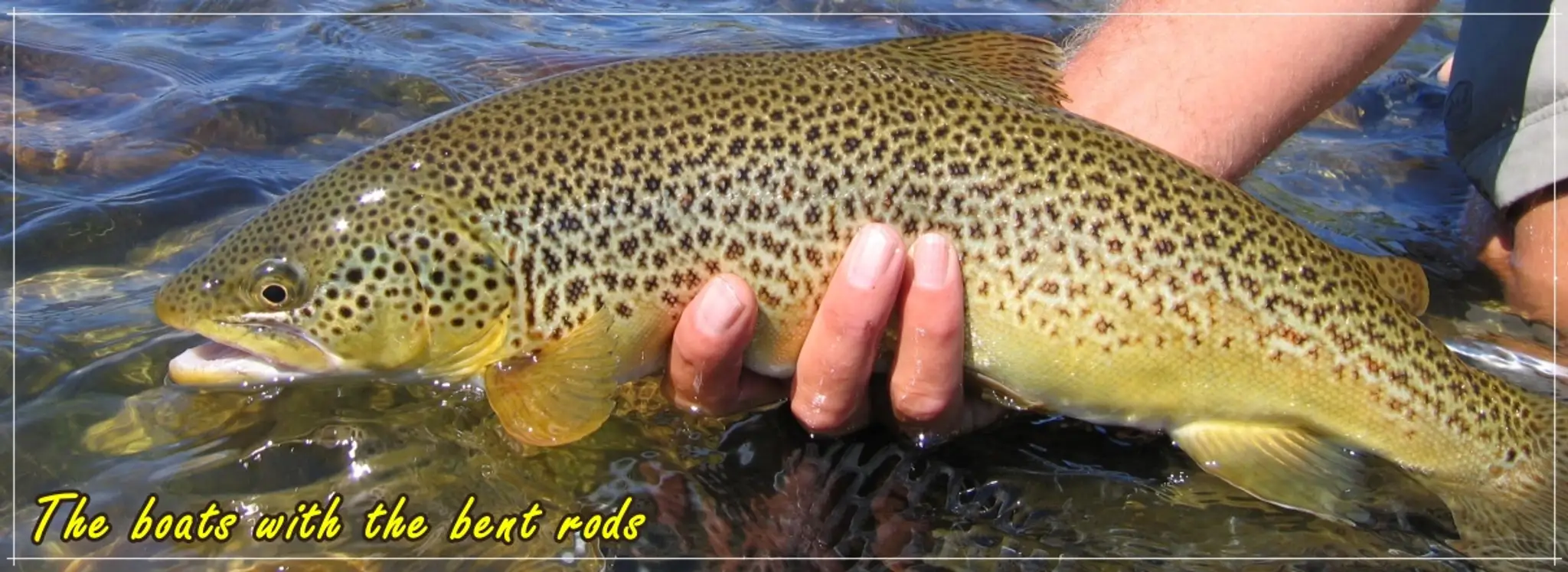 Bow River Hookers Fly Fishing Adventures