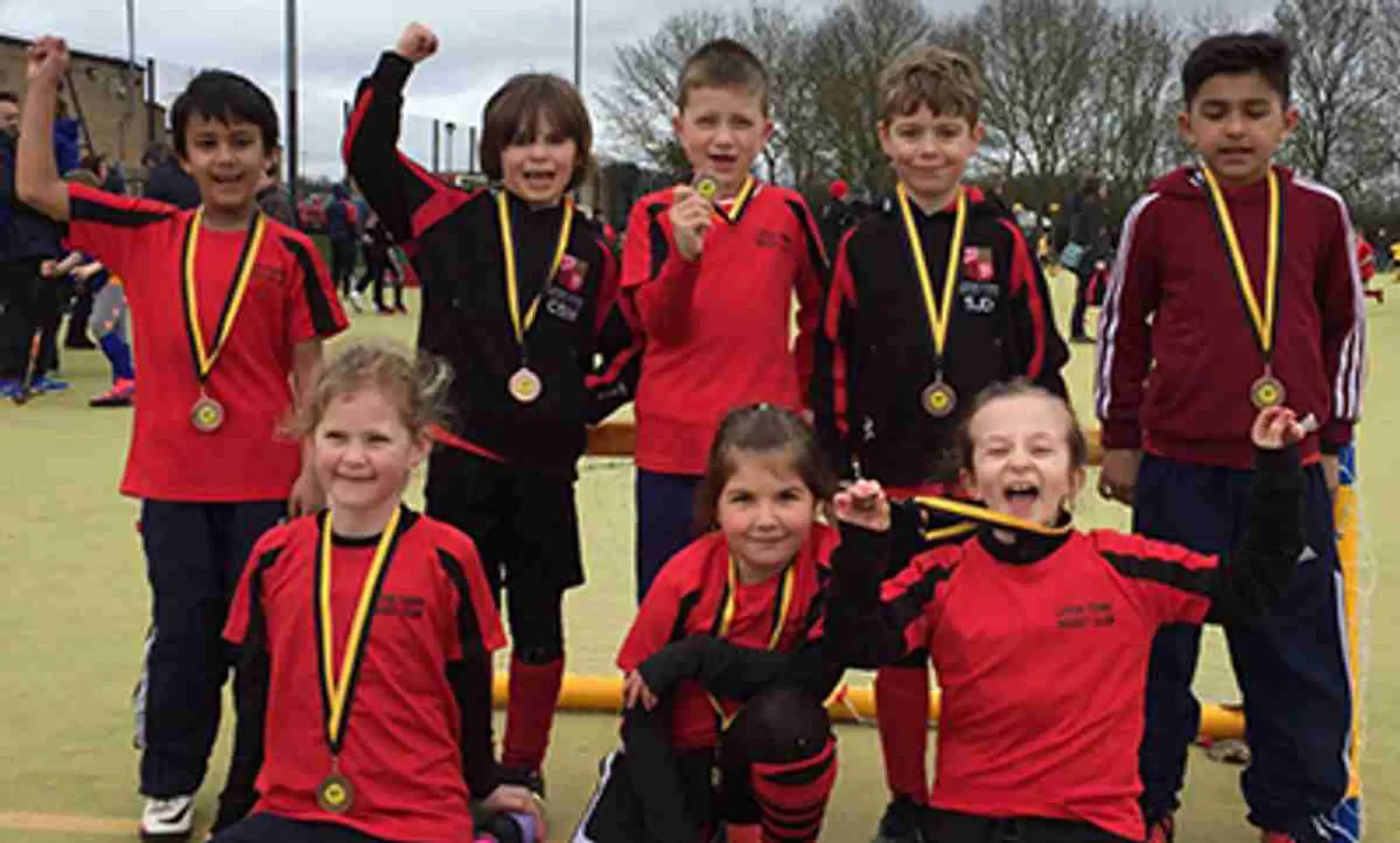 Luton Town Hockey Club