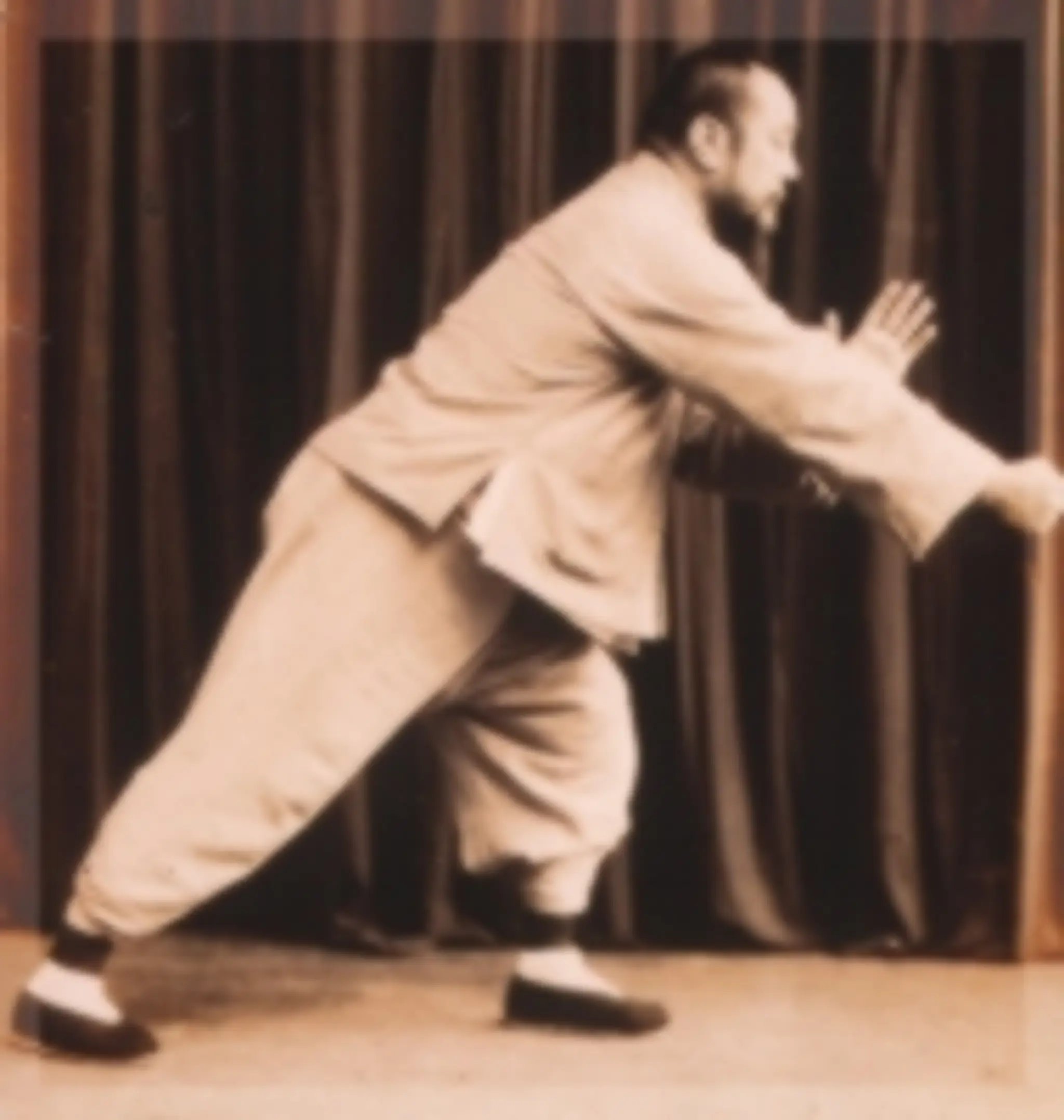 Wu Style Tai Chi Chuan