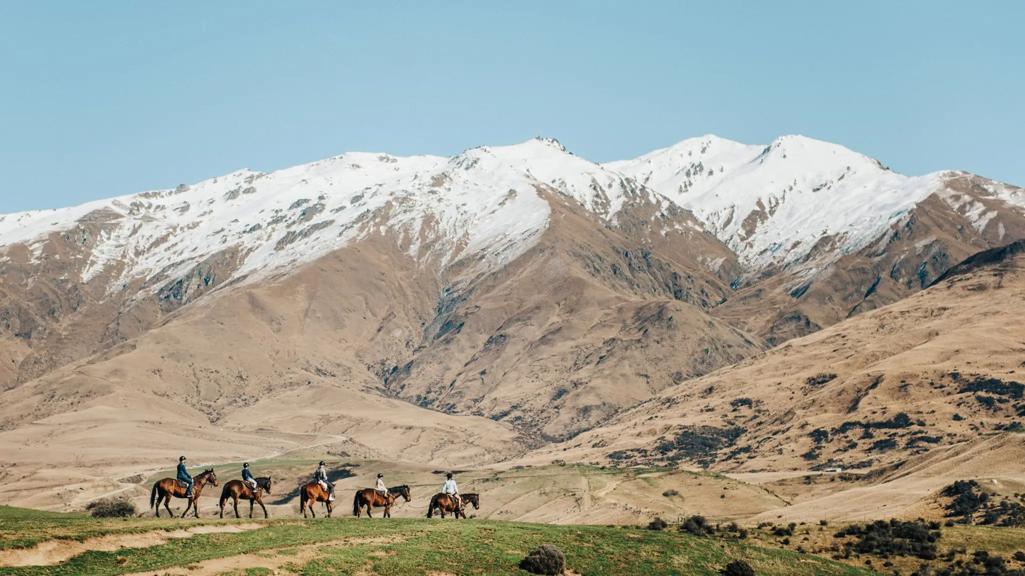 The Cardrona Horse Trekking & Quadbiking
