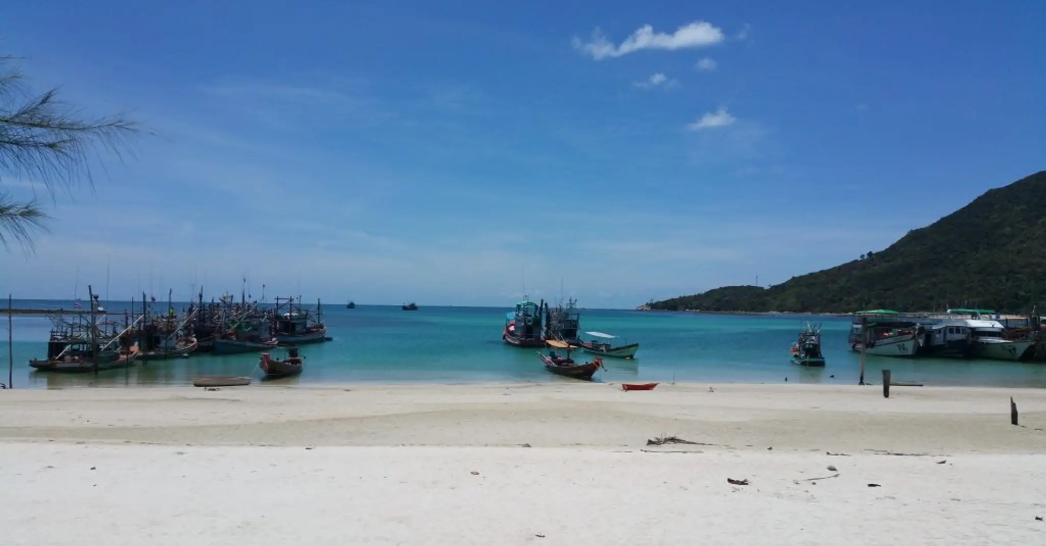 Saliya Life Wellness