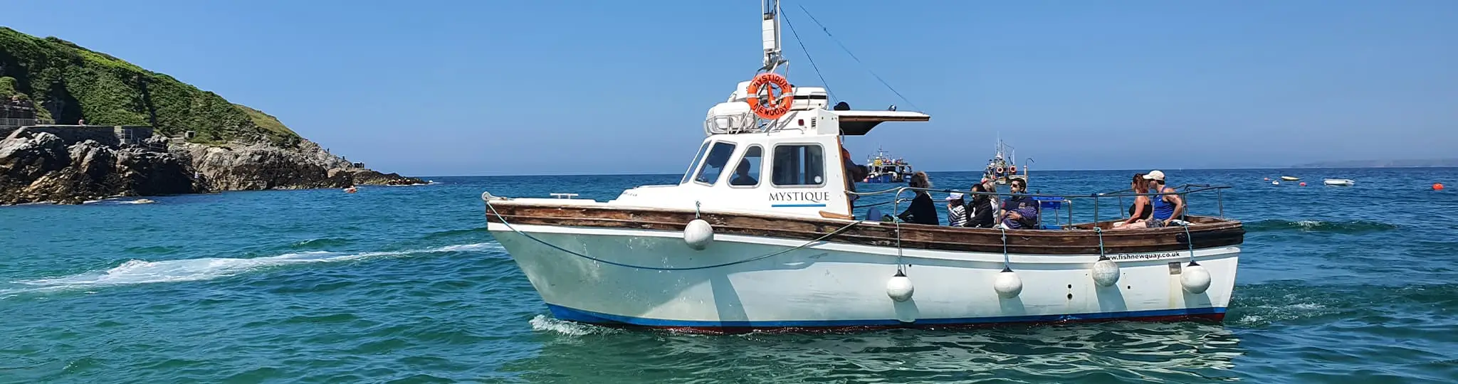 Fish Newquay - Mystique