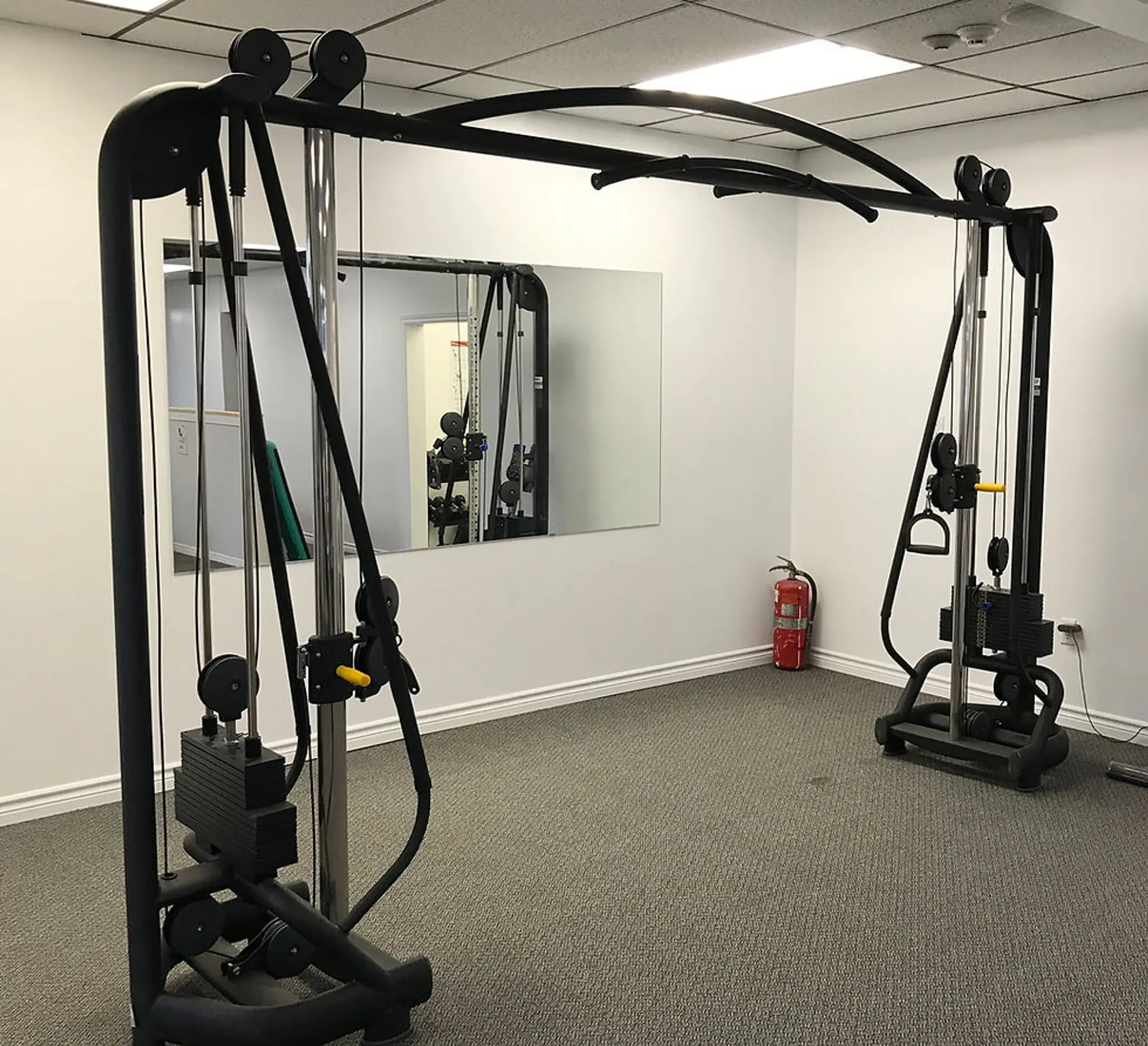 Gym365