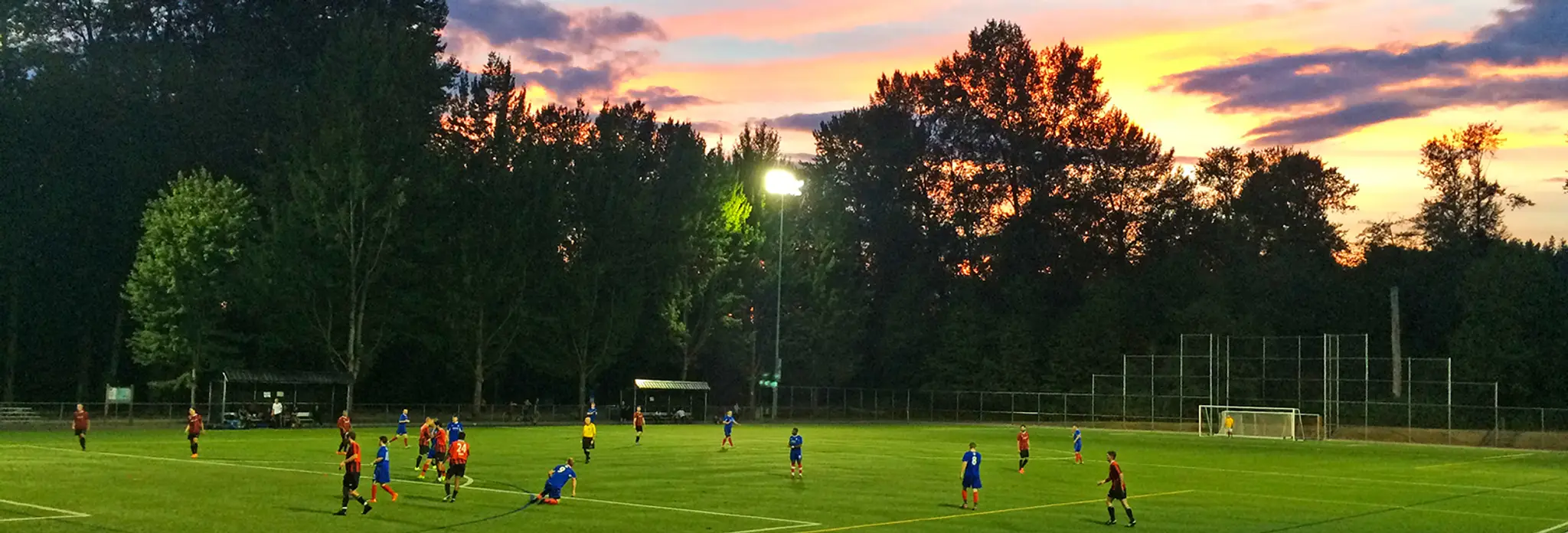 Trasolini Turf Field