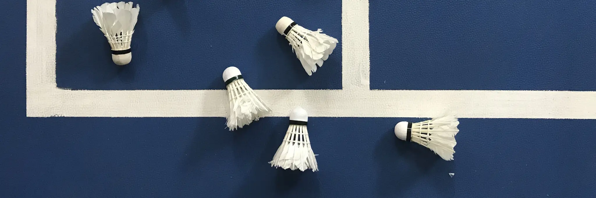 South Australian Badminton Association