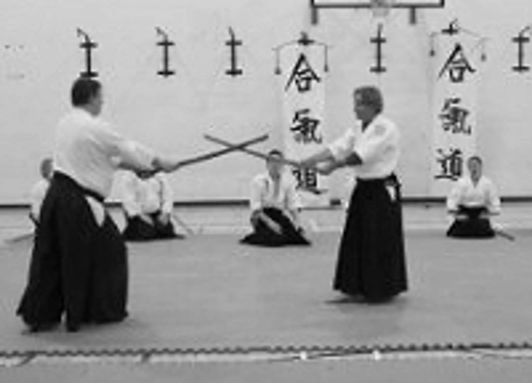 Pinner Aikido Club - Adult Classes for 18+